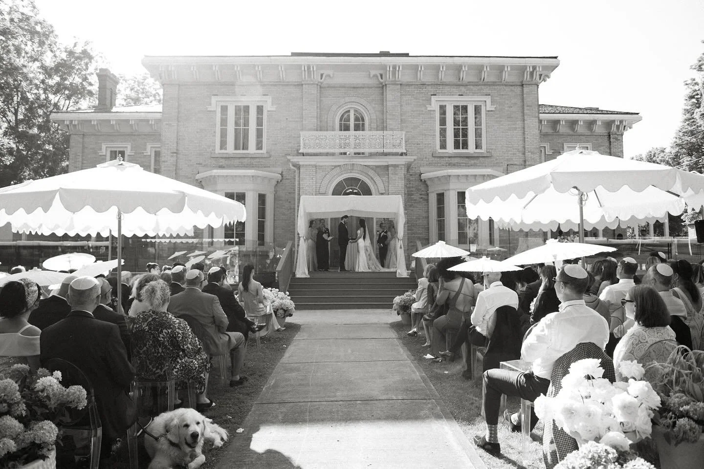 Still catching my breath after last weekend’s perfect summer wedding in PEC✨
Planning & Design: @events.by.jules 
Photographer: @chelsea.gurr 
Florals: @wearepollennation 
Catering: @mattdemilleculinary