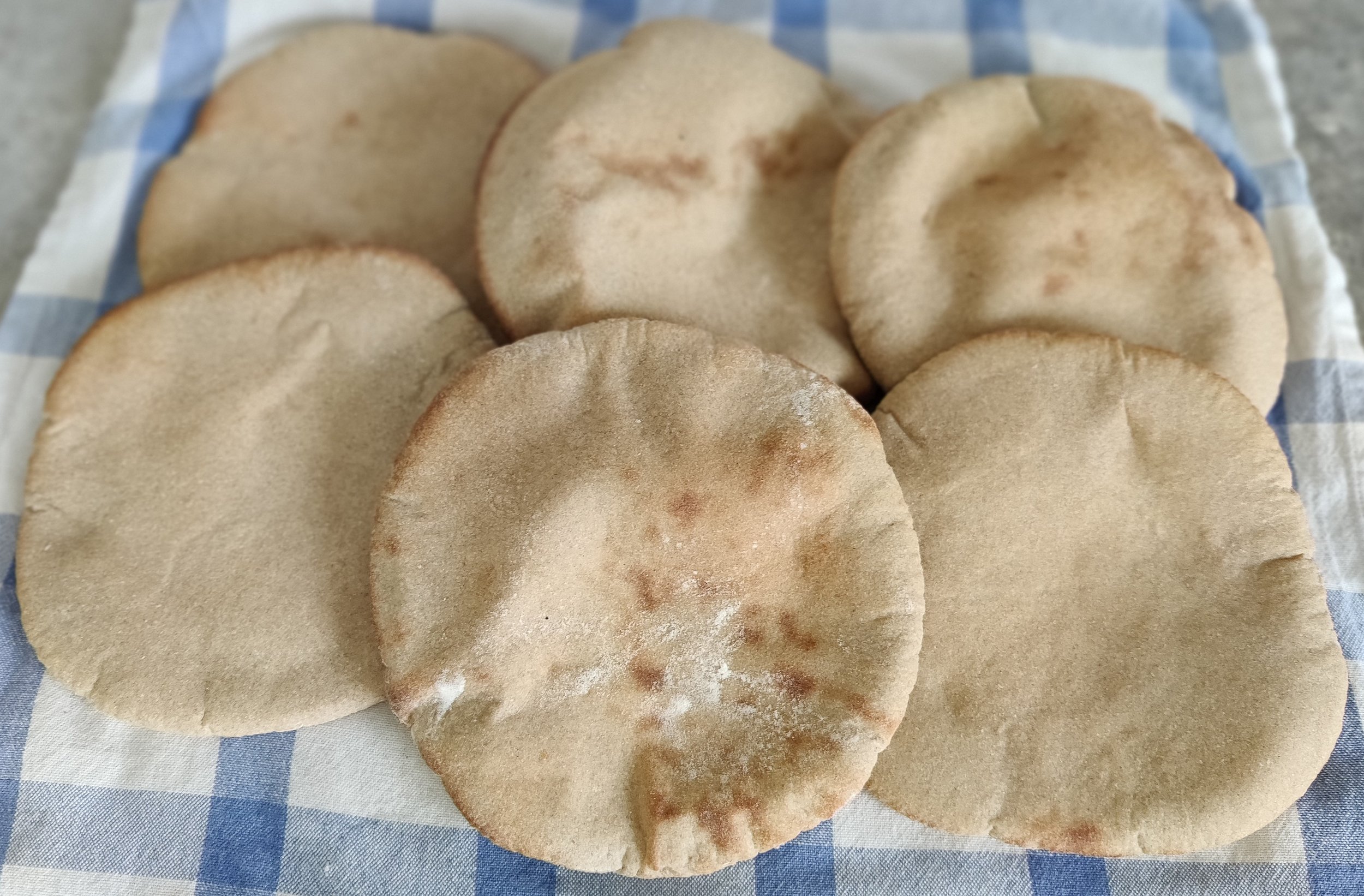 The Breads of Egypt: Barley bread - عيش الشعير