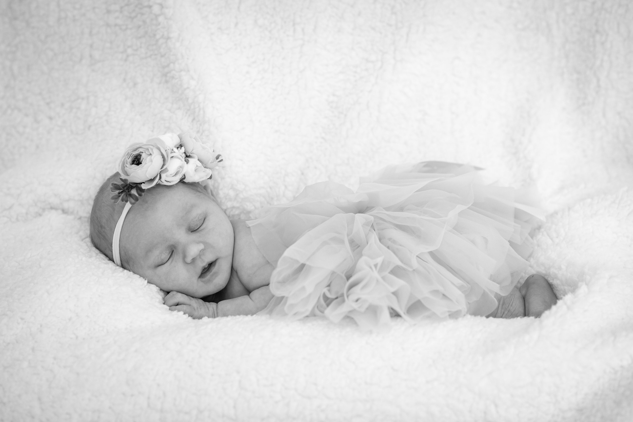 Newborn Heather Bellini Photography.jpg