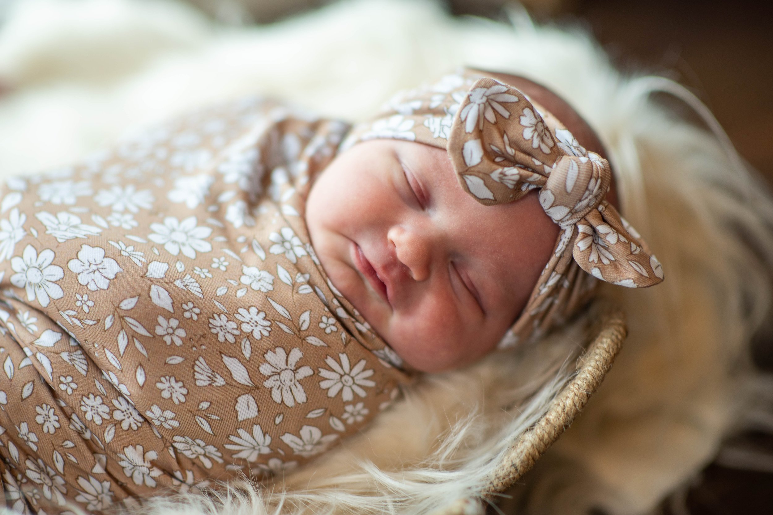 Newborn Heather Bellini.jpg