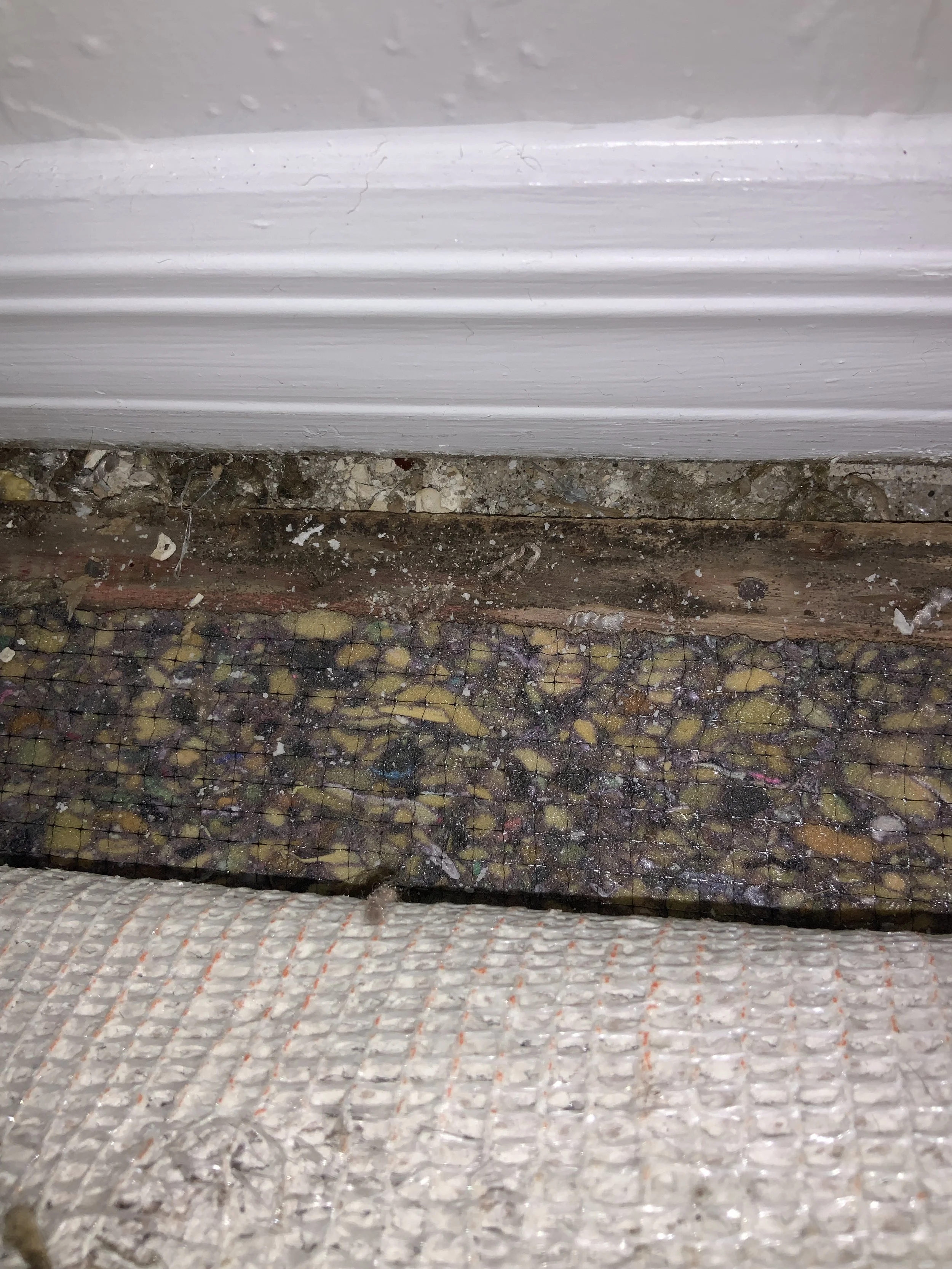 Mold inspection in Daytona Beach Florida