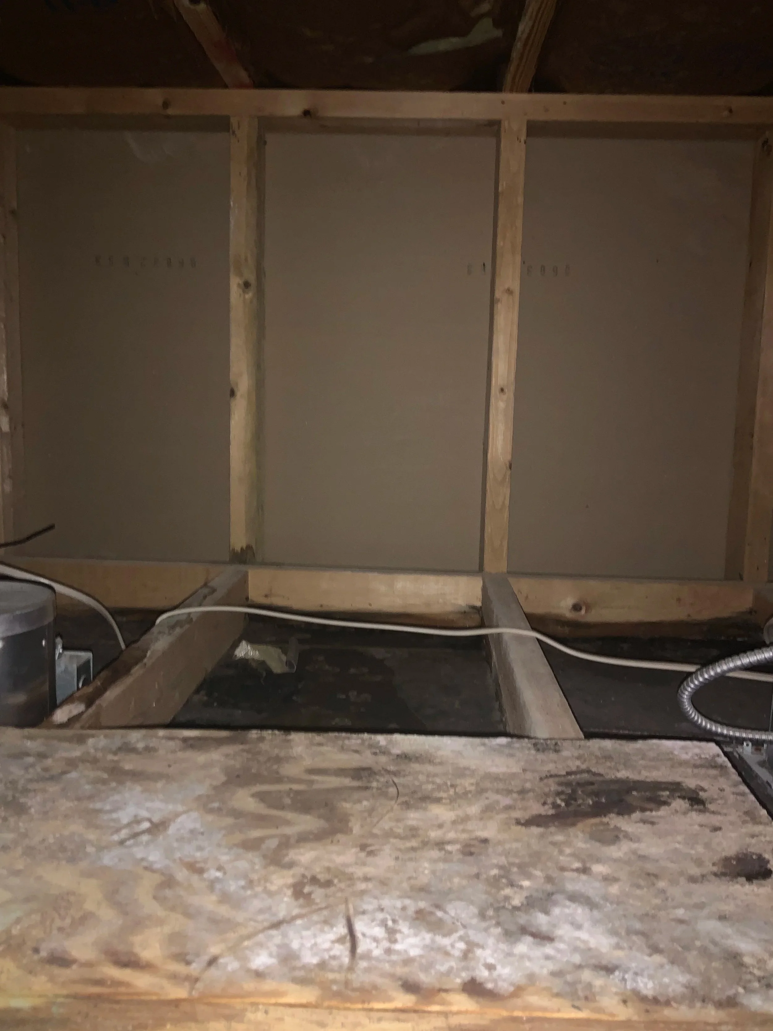 Mold growth and water damage/staining on attic wall framing with exposed wooden studs