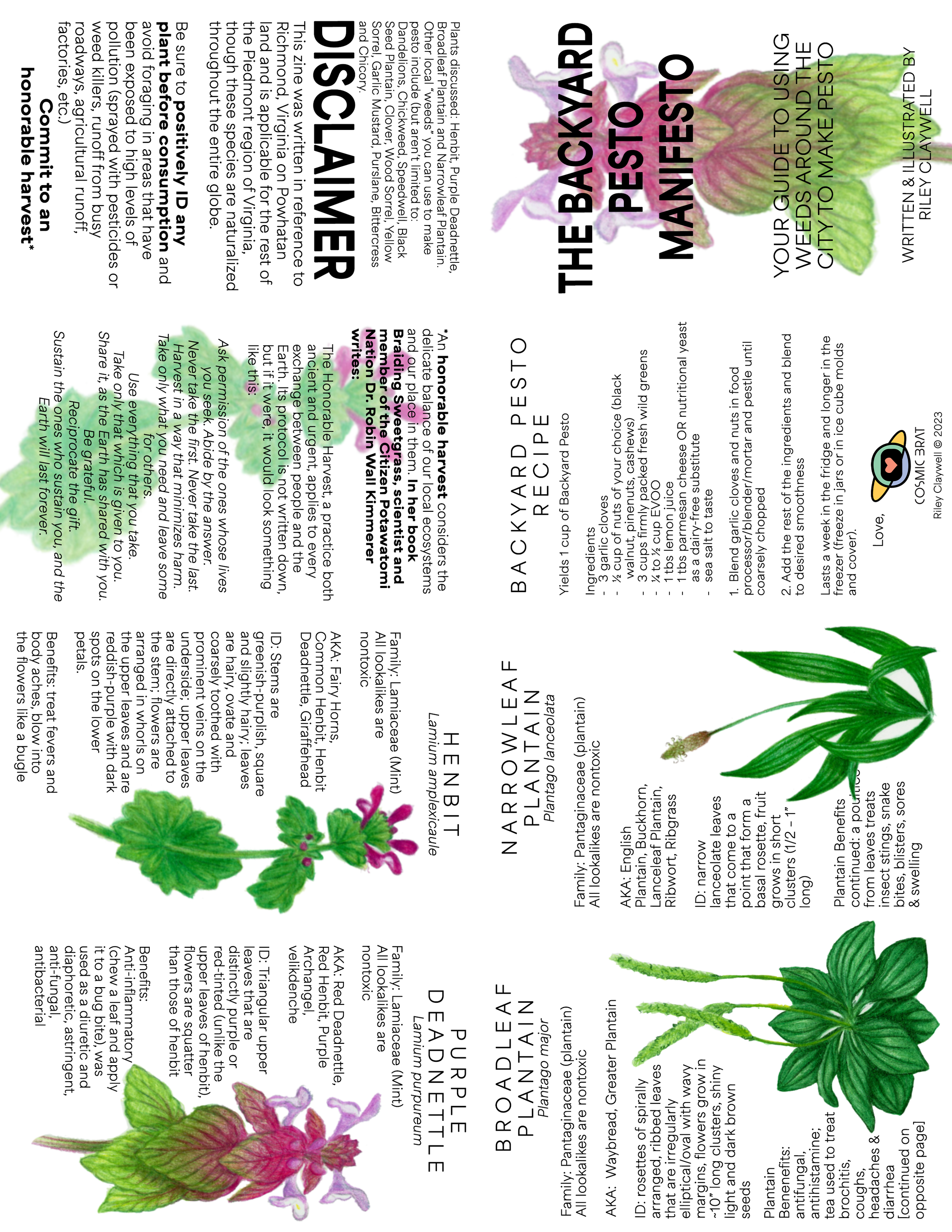 ACTUAL FINALBackyard Pesto Zine.png