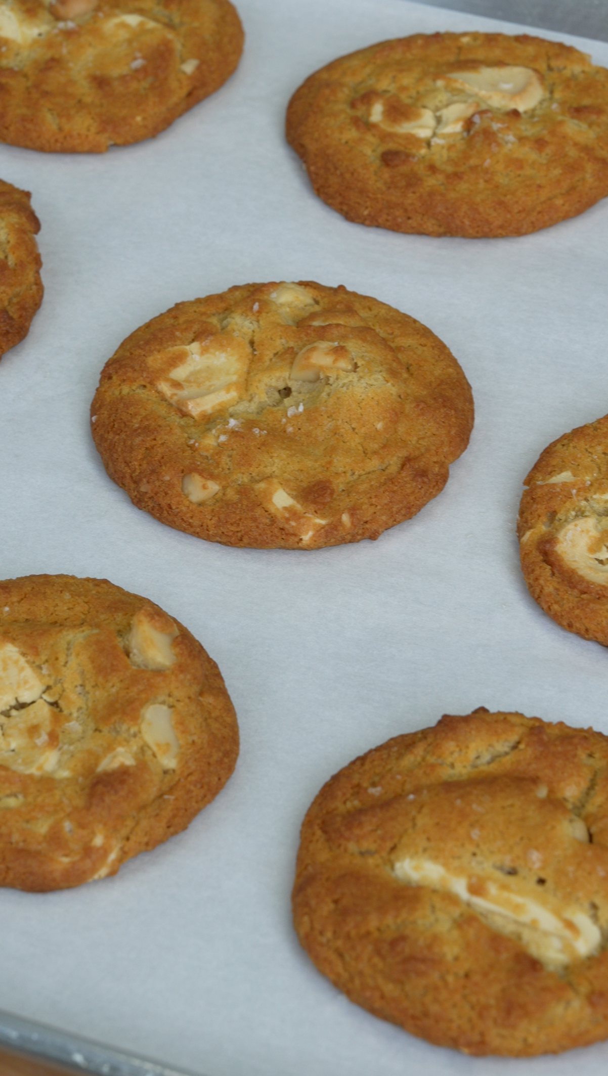 vegan white chocolate macadamia nut cookies