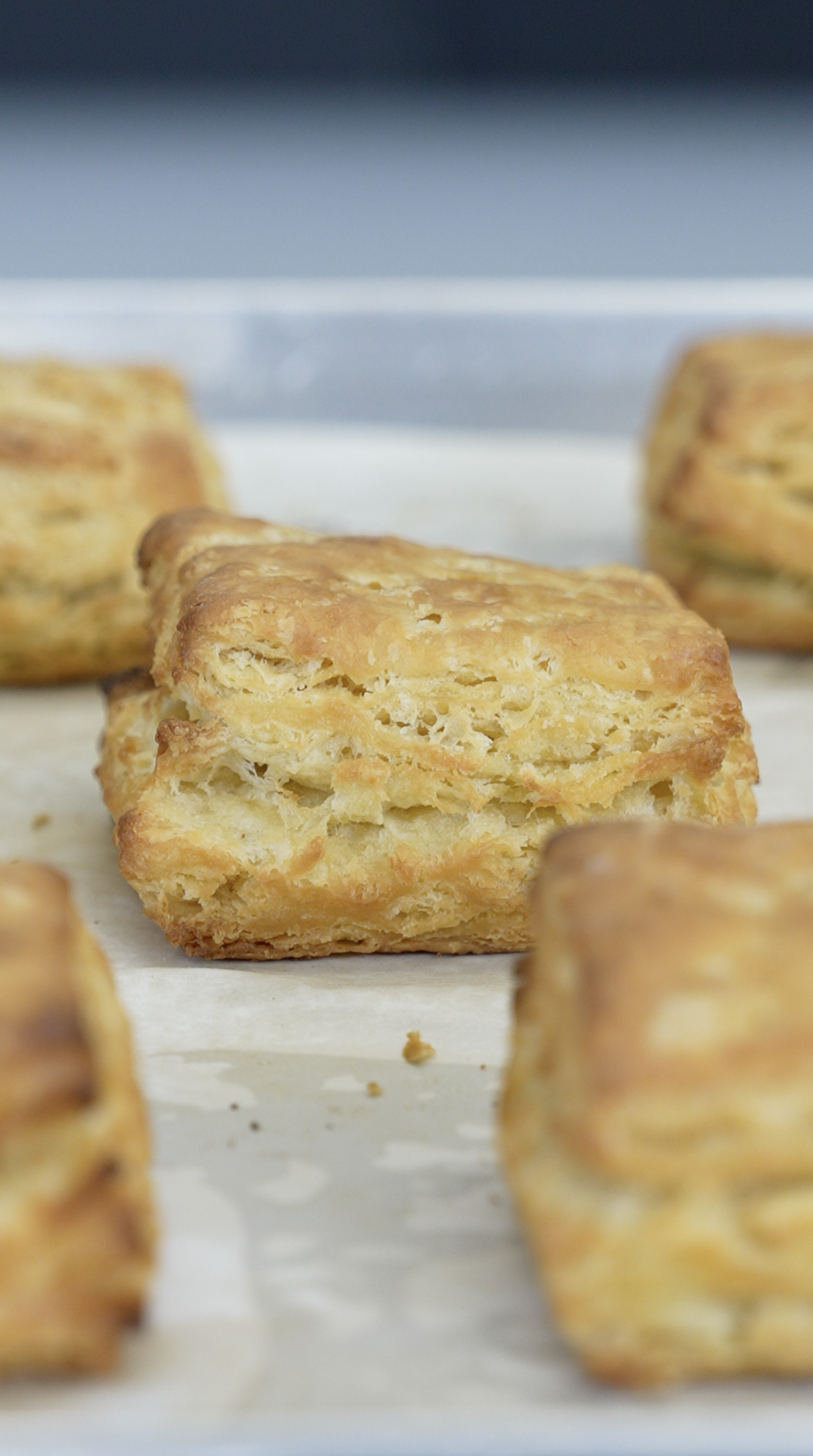 Vegan Biscuits Made with Tourlami