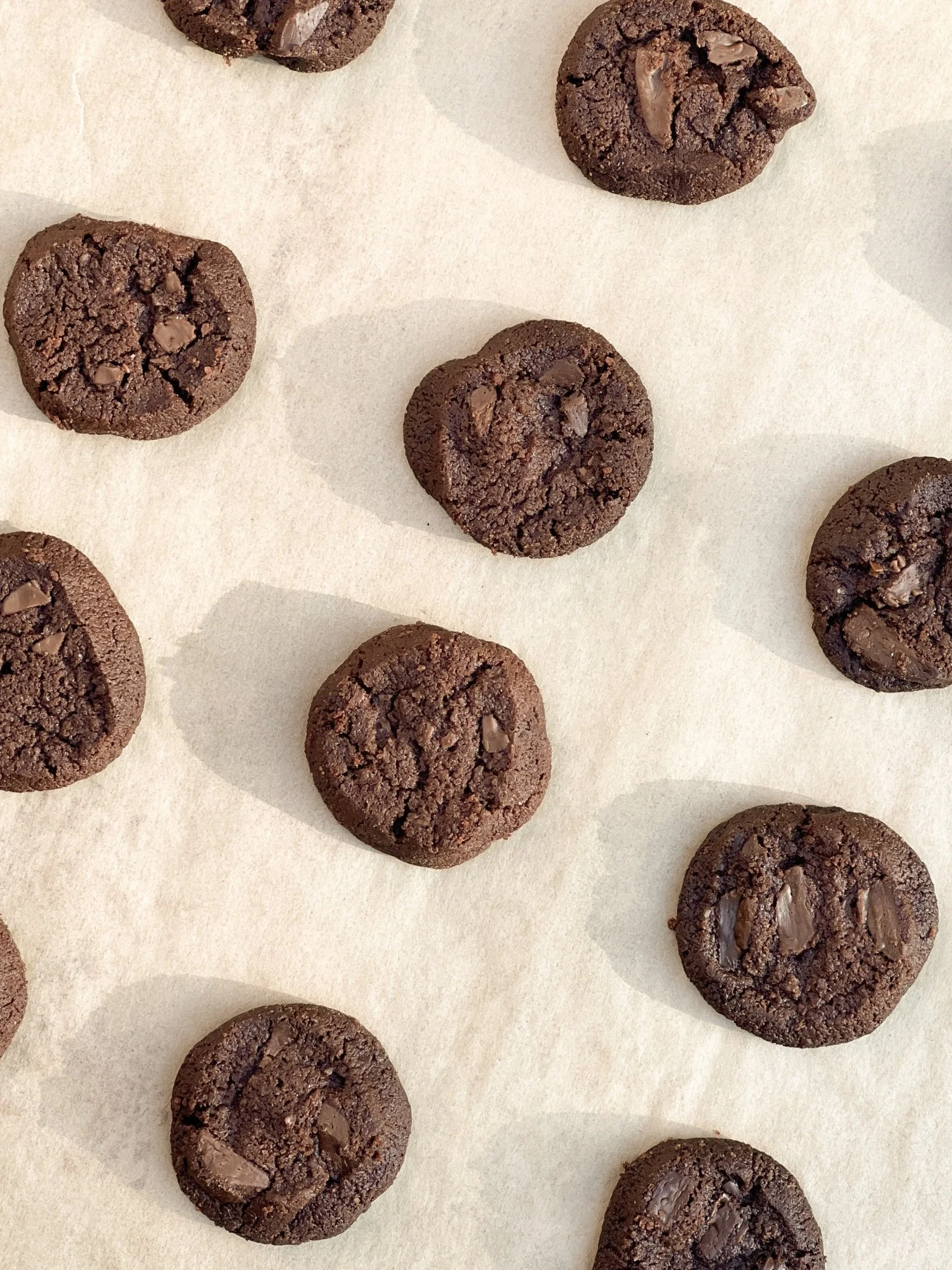 Vegan Chocolate Sable