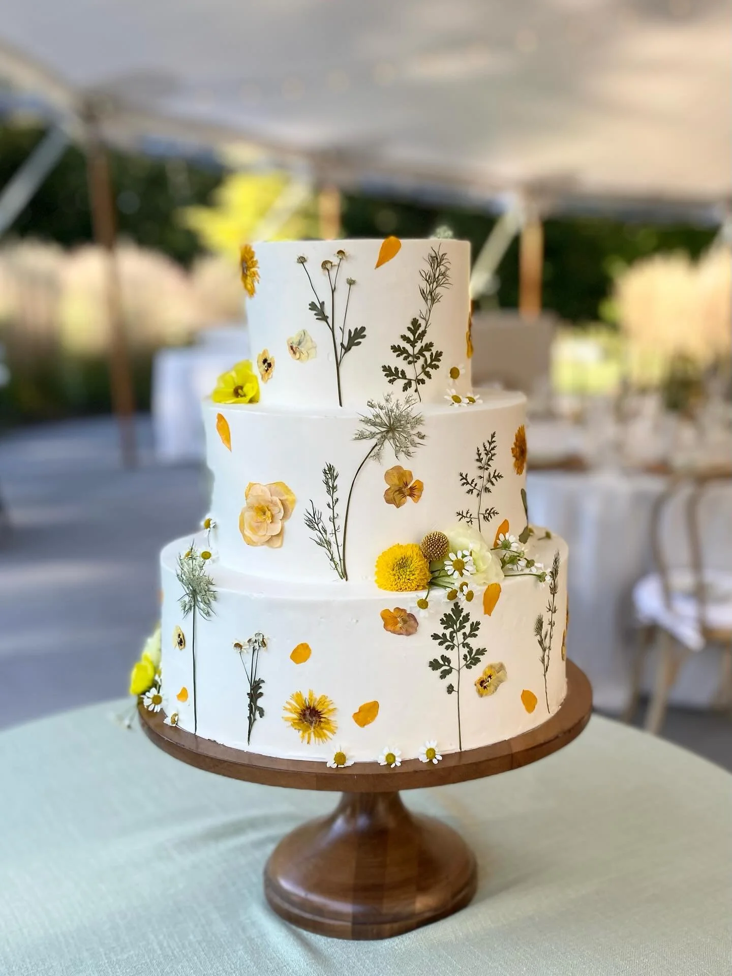 My last wedding of the 2025 season ✨ Cake + flowers have been my livelihood, my creative expression, and my joy! What an honor to be a part of so many beautiful celebrations of love + community.