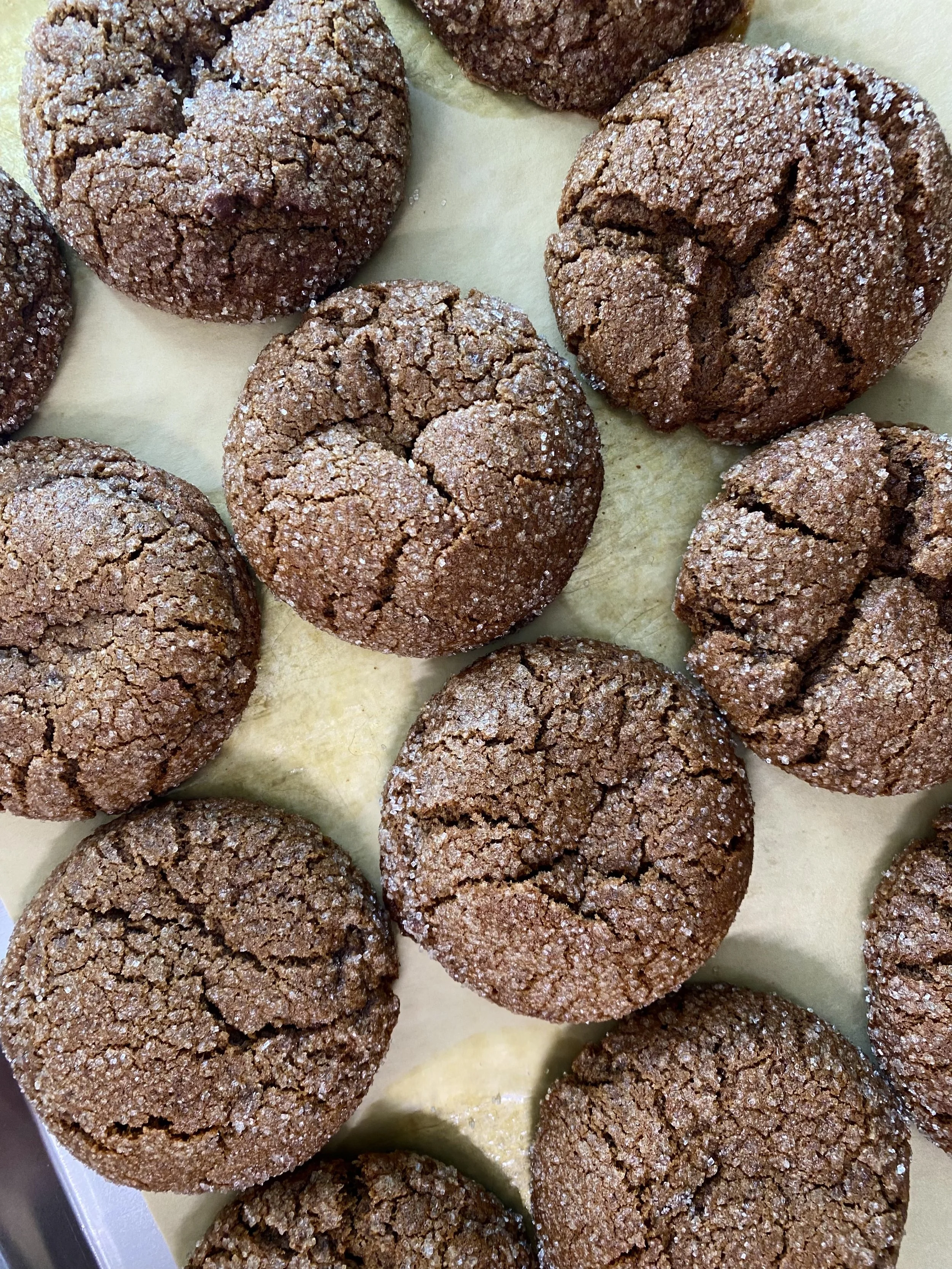 molasses cookies.jpg