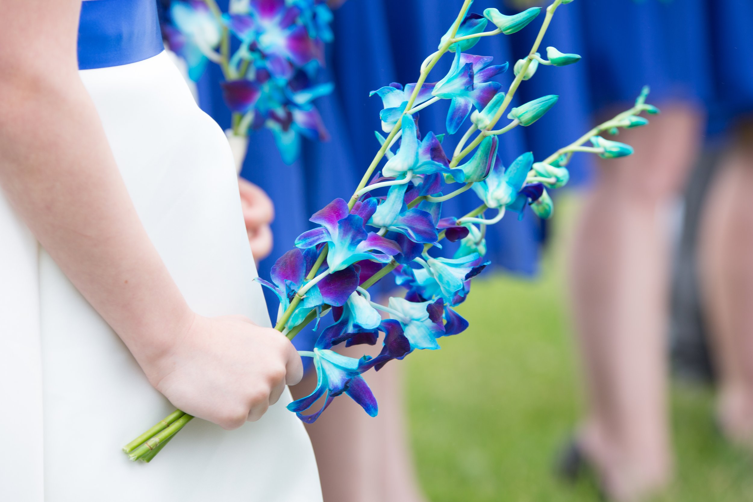 Wilson Flower Girls 2.jpg
