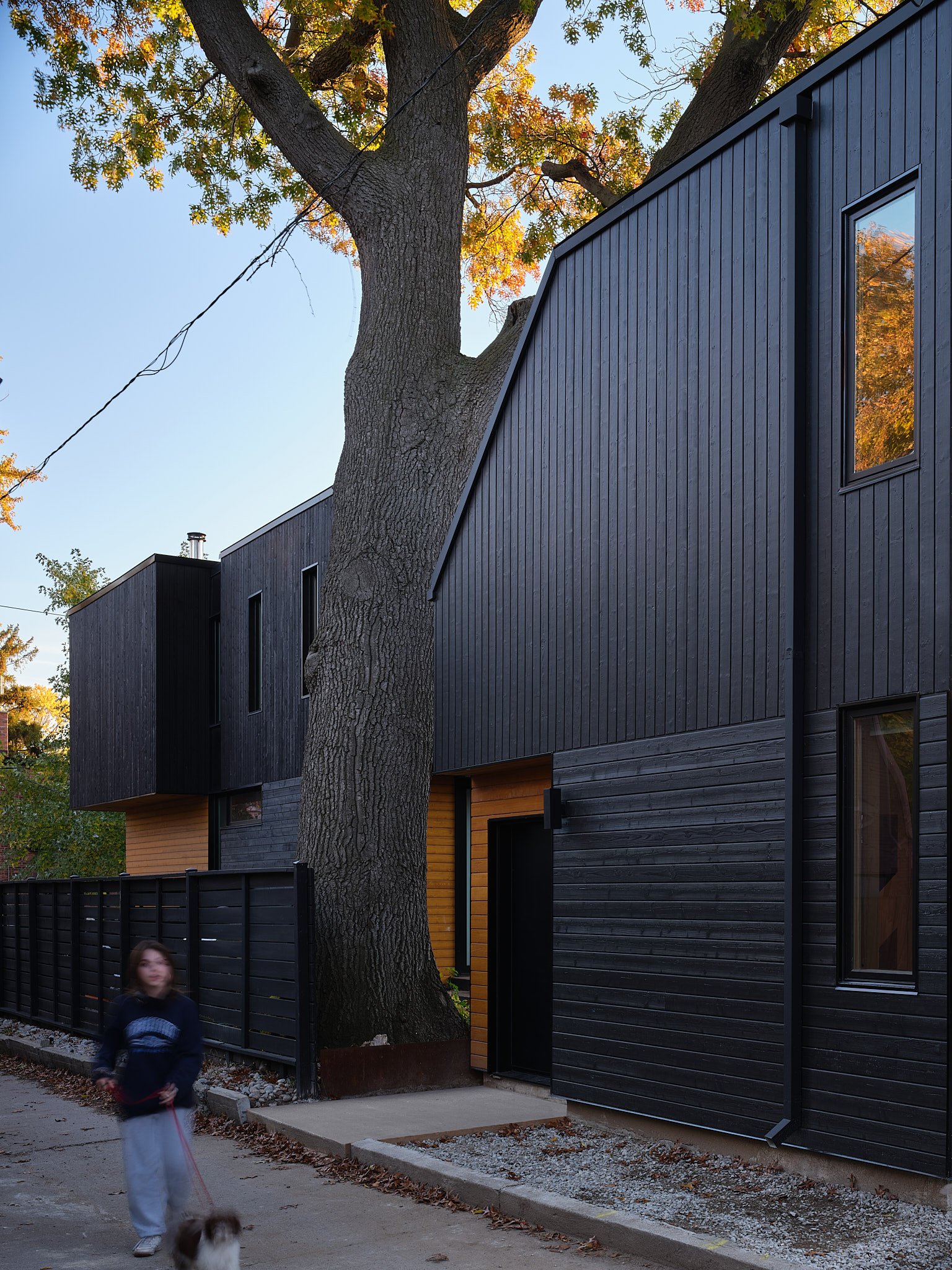 New modern laneway house in Toronto Ontario clad in black wood siding.