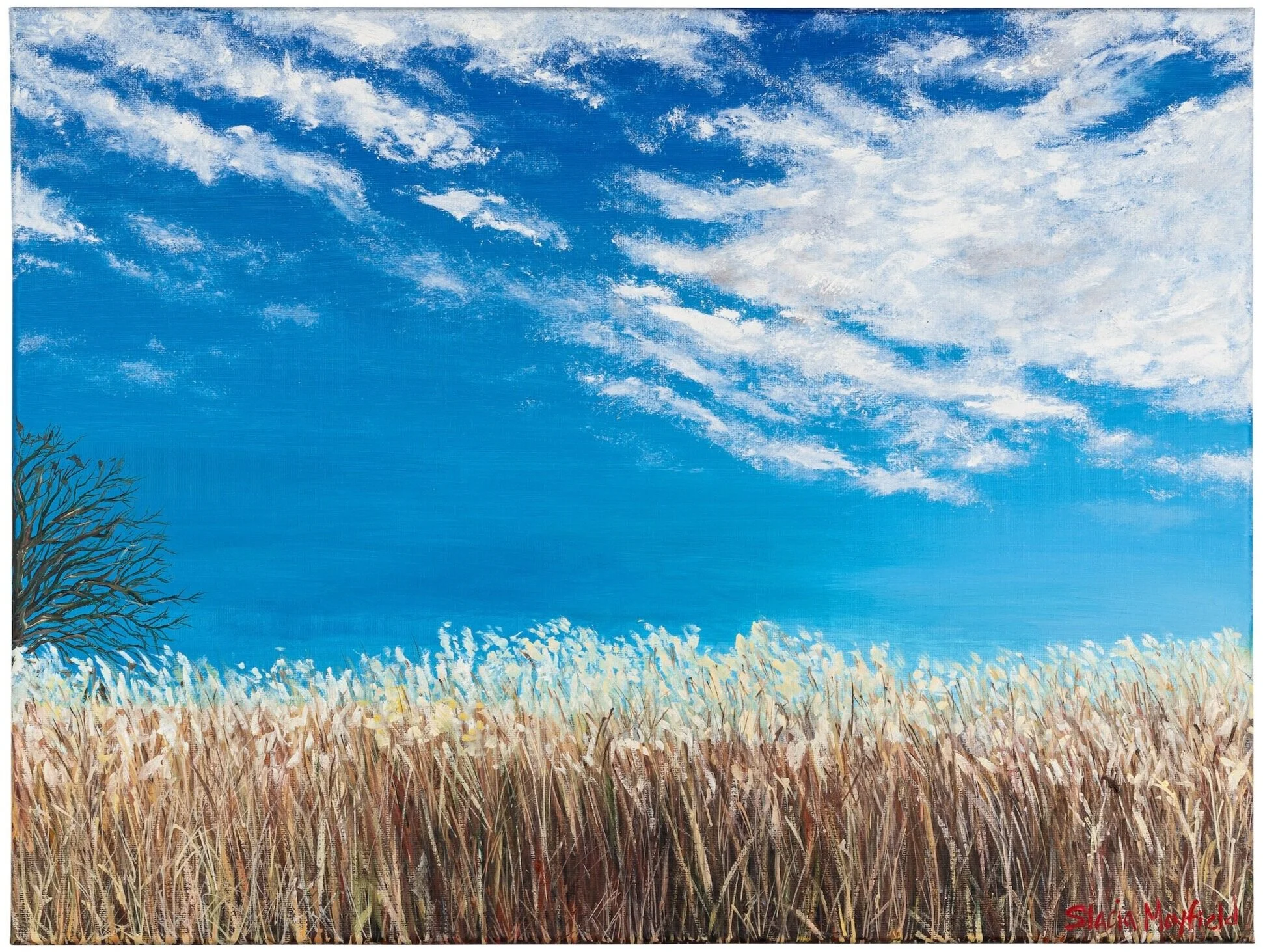 Somewhere off of Highway 20, near Galena, 2020                                                                                                                                                Oil on Canvas. 16x20.                                                                                                                                                         © Stacia Mayfield