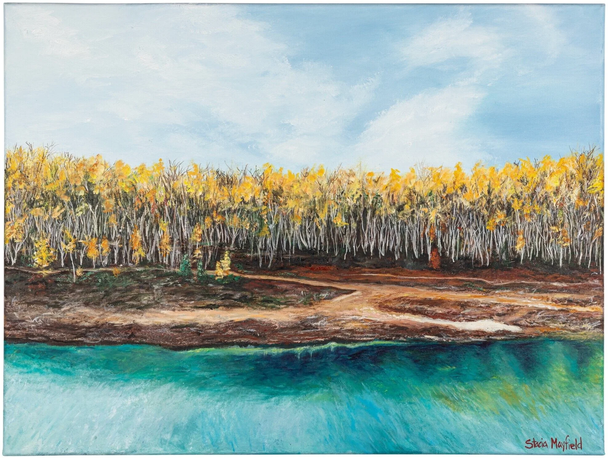 Yen’s Ride through Redhead Mountain Bike Park, Chisholm Minnesota, 2020                                                                                                                                                Oil on Canvas. 18x24.                                                                                                                                                         © Stacia Mayfield