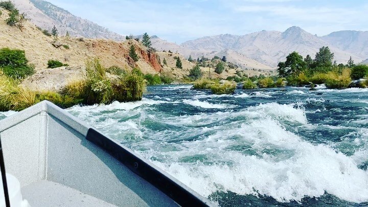 Time to start thinking for the upcoming &lsquo;22 season. I have some limited availability left. The Lower Deschutes is hard to beat in the spring and summer! 

#flyfishing #lowerdeschutes #driftboating