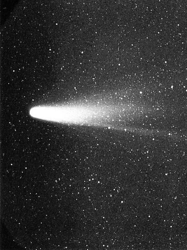 Comet