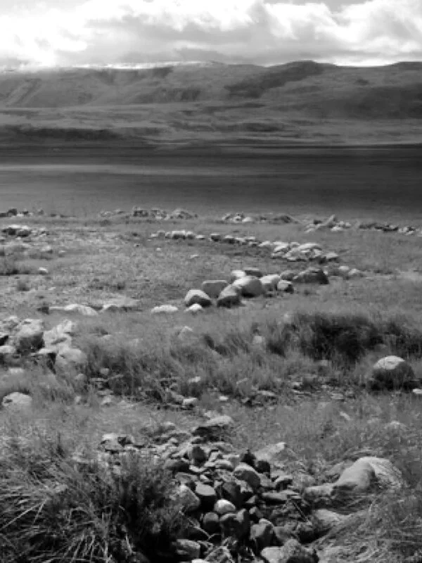 Steppe
