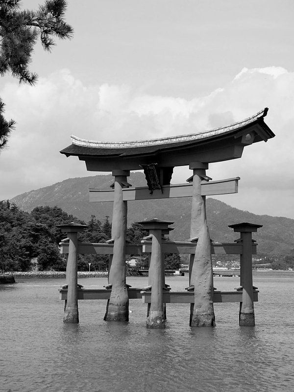 Torii Gate