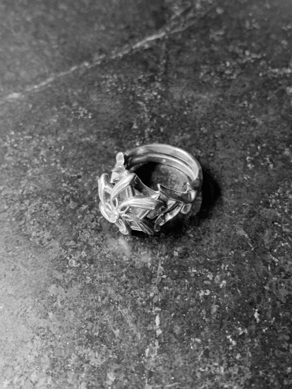 The Ring