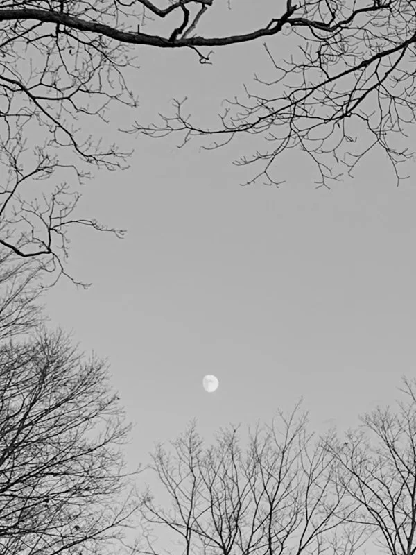The Moon
