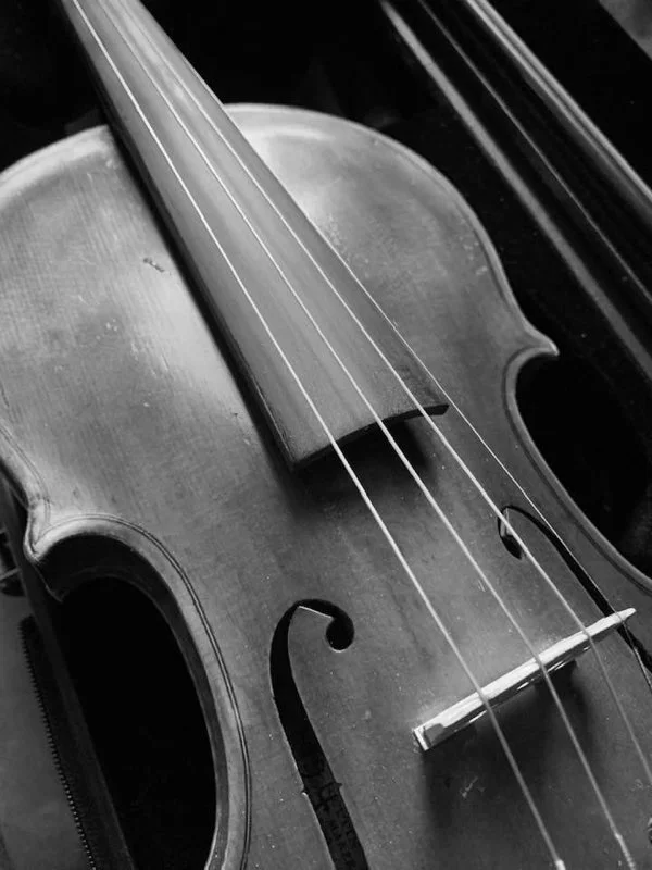 Violin