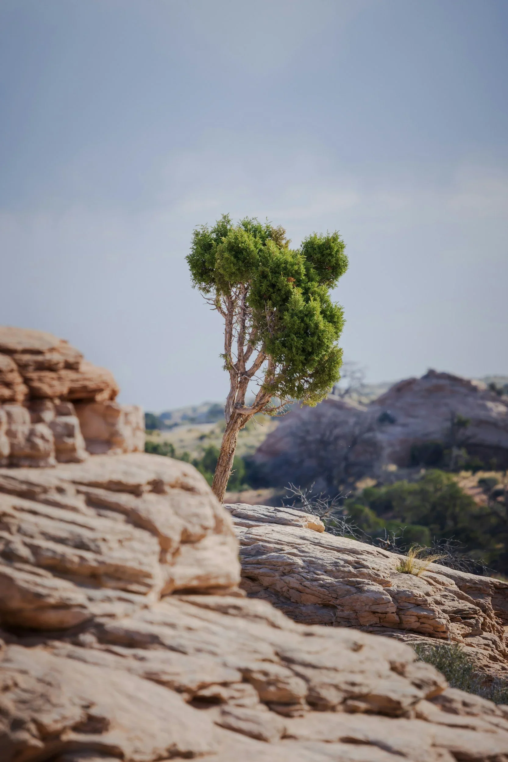 Rest, Reflect, Renewal: Lessons I’m putting into practice as I return from Sabbatical