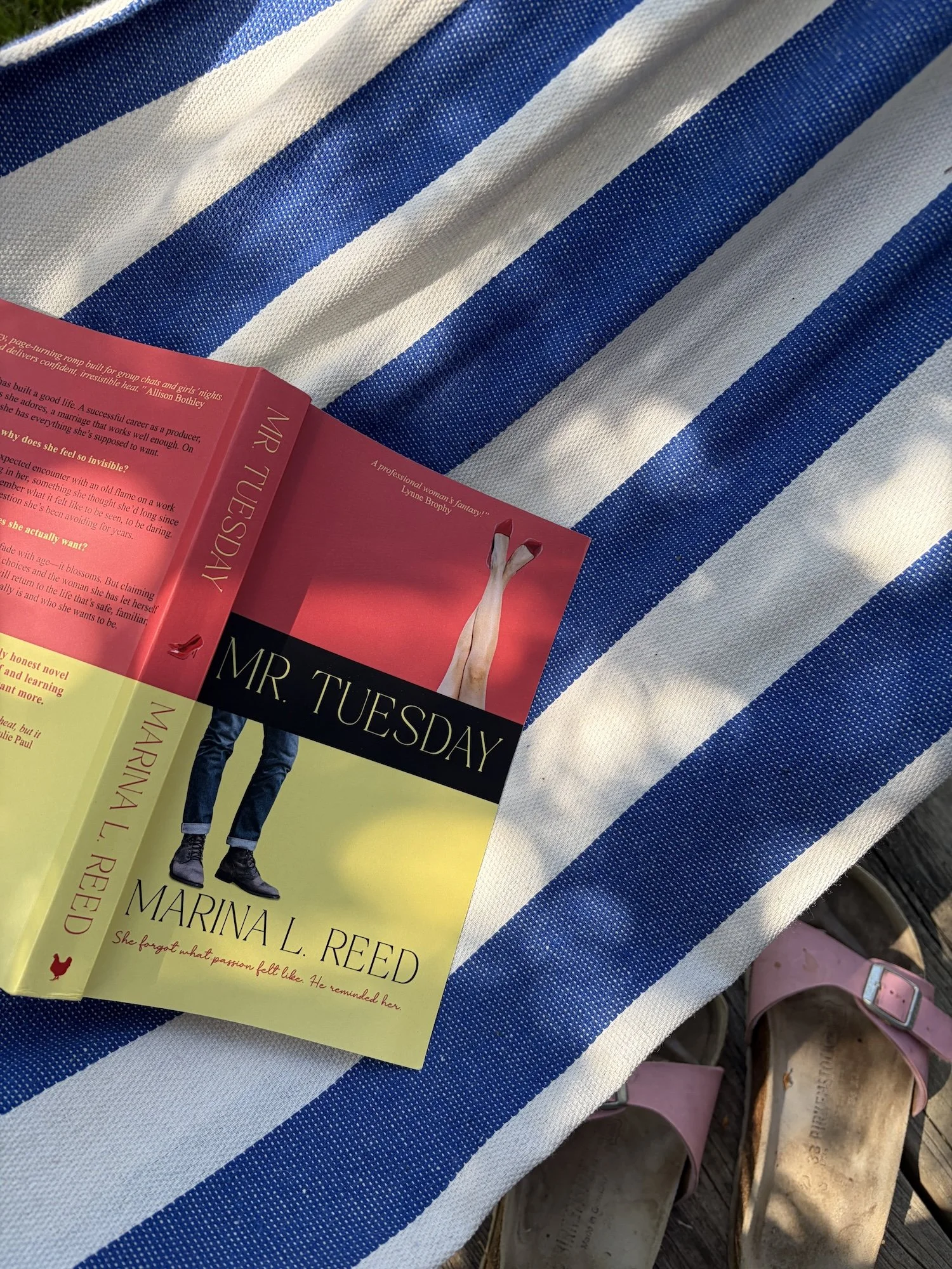 Chicken House Press Launches Spicy Romance with Marina L. Reed’s Mr. Tuesday