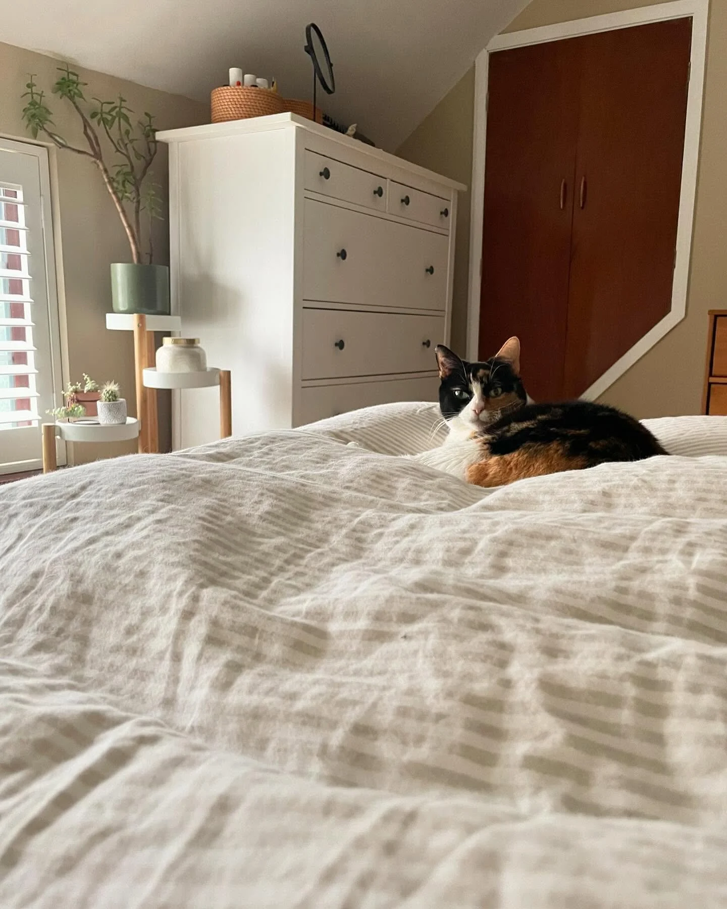 &hearts;️ f e b r u a r y &hearts;️

This was a month of book stuff and friends - going to London to see my heroes live in action, heading out on my annual writing retreat, thinking about new books (!!!), and getting locked in a submarine-themed room