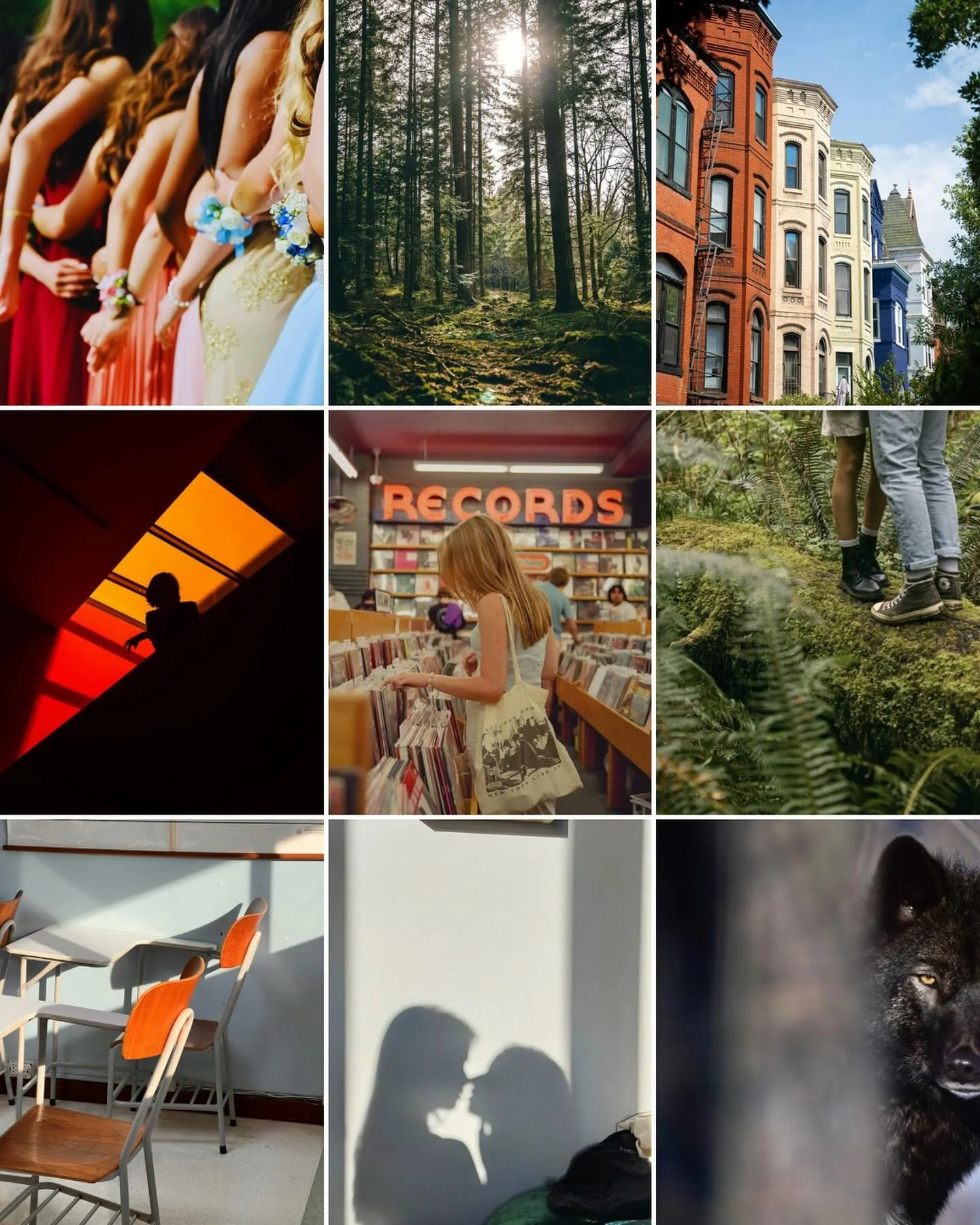 I give you, the ✨vibes✨ of MY EX &amp; OTHER MONSTERS.

She&rsquo;s giving record store romance, prom queens, shadowy woods, secret love, DC row homes in the sunshine, and monsters lurking around every corner&hellip;

Plus, I included one extra vibe 
