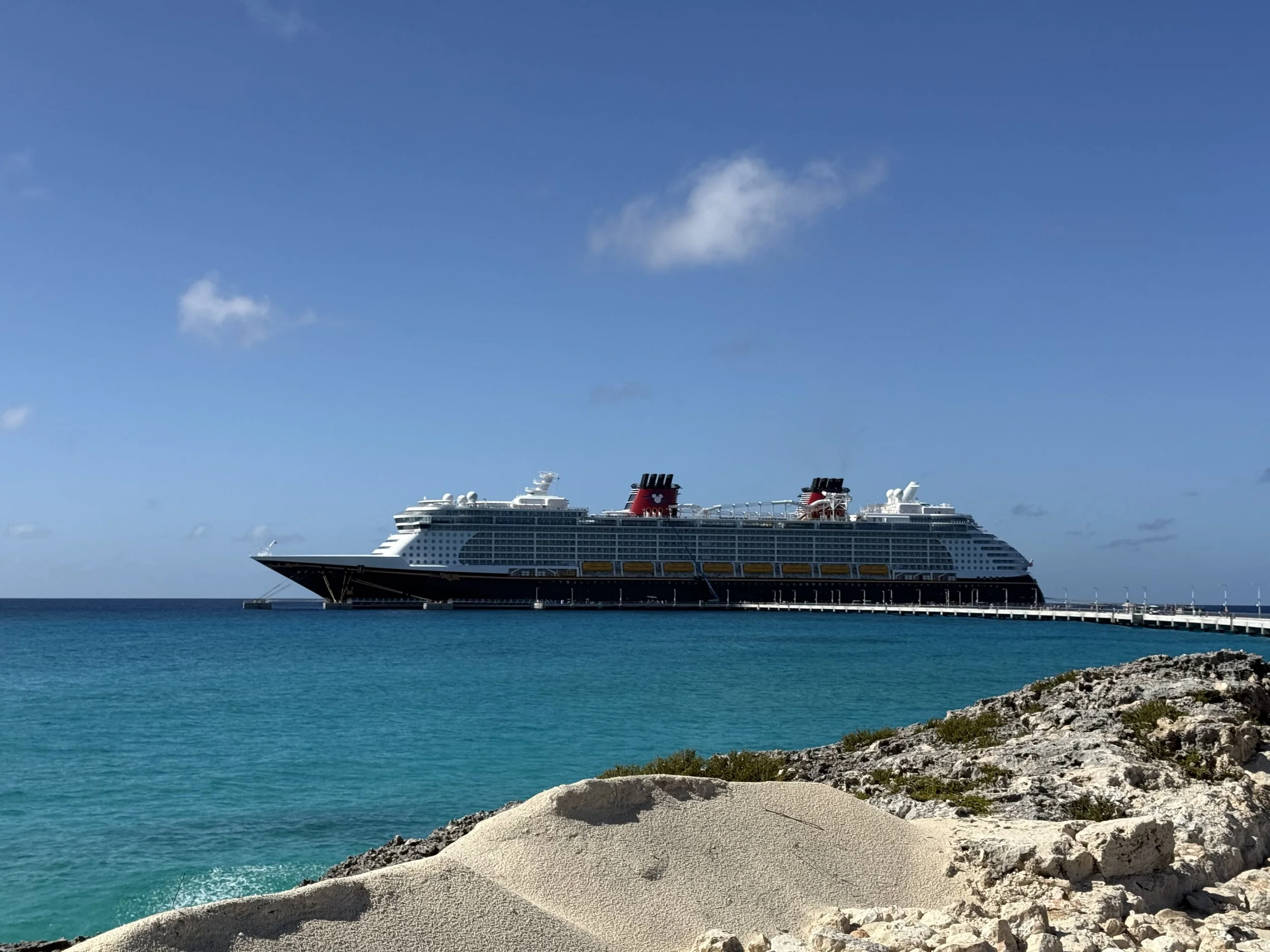 Solo Cruising Tips on Disney