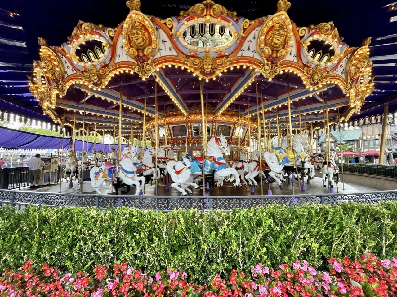 What a Disney Travel Agent Does That the Disney Website Simply Can't