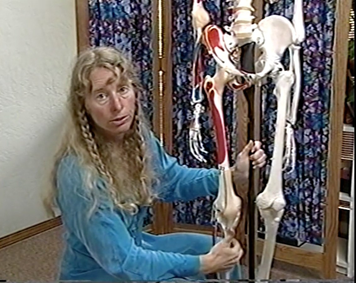 Joint Classes with Lynda Caesara
