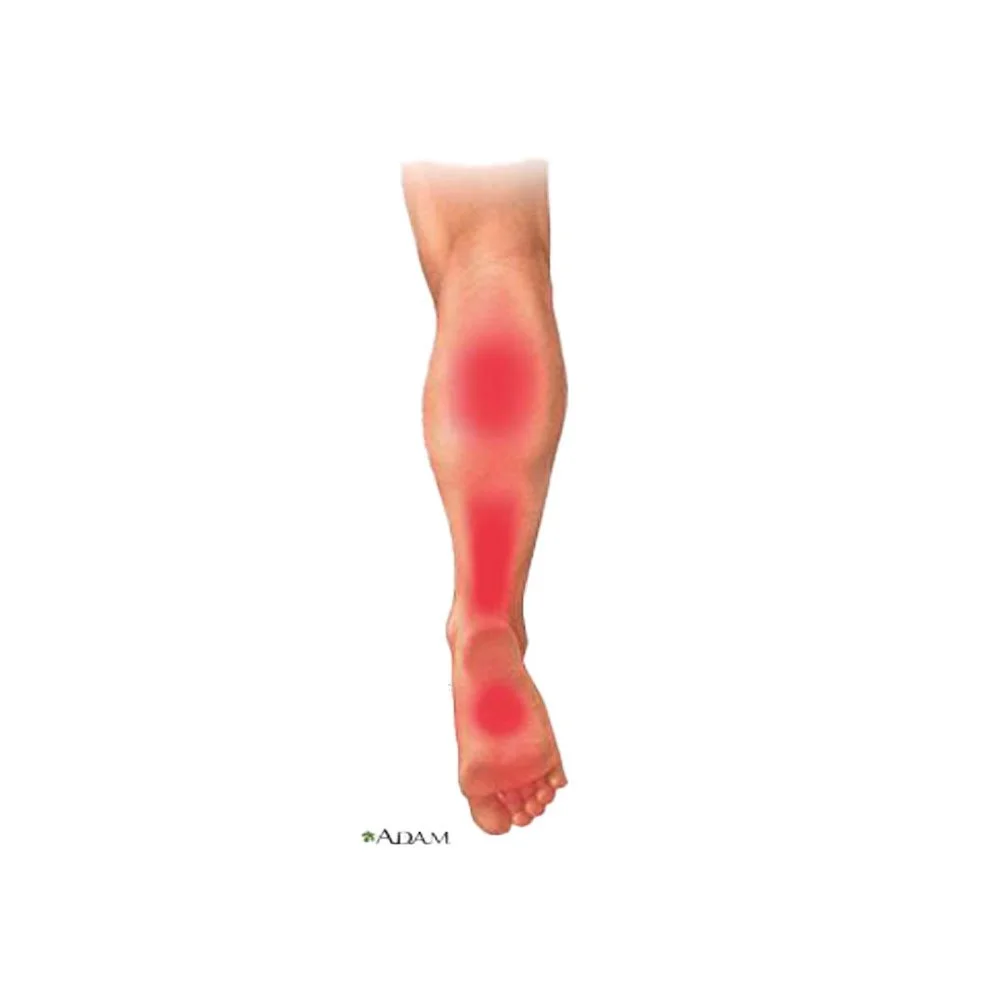 Muscle Specific Online Classes