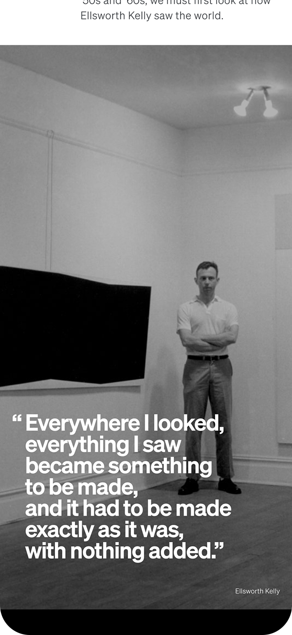 Example of abstract art web design from Ellsworth Kelly hundred year anniversary