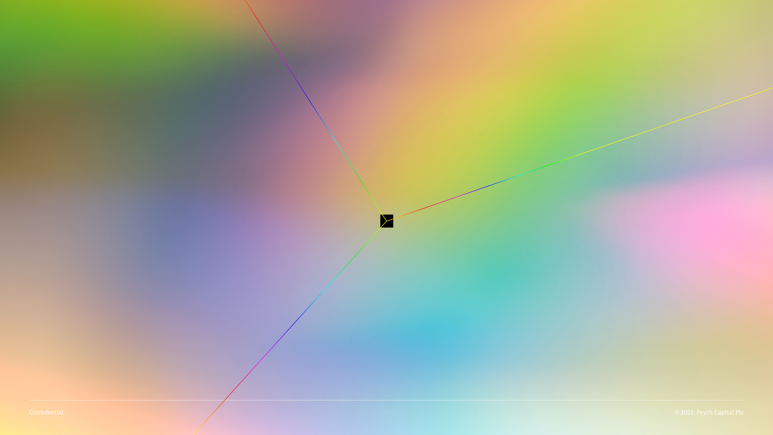 PC_Corporate_Presentation_Feb_22_dev_deceptive_selects 9.png