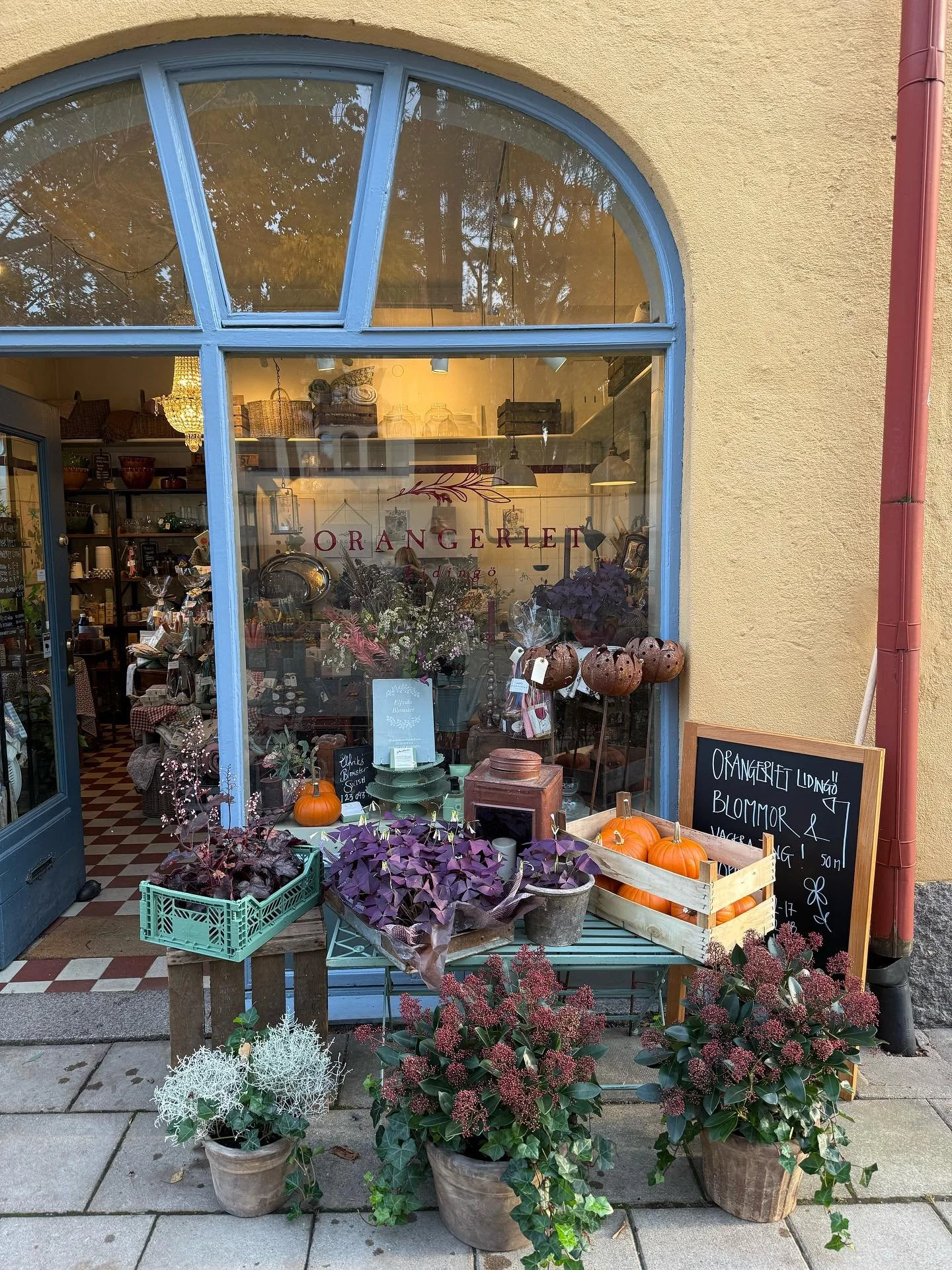 K&auml;ra Kunder! 🧡🍂 

Varmt v&auml;lkomna f&ouml;rbi oss i helgen! &Ouml;ppet som vanligt fredag kl. 12-18 och l&ouml;rdag kl. 11-15. Det kommer finnas helgbuketter och annat h&ouml;stmys. 🍂🎃
Hoppas att vi ses! 

// Kajsa &amp; Sara 🤎🎃🤎