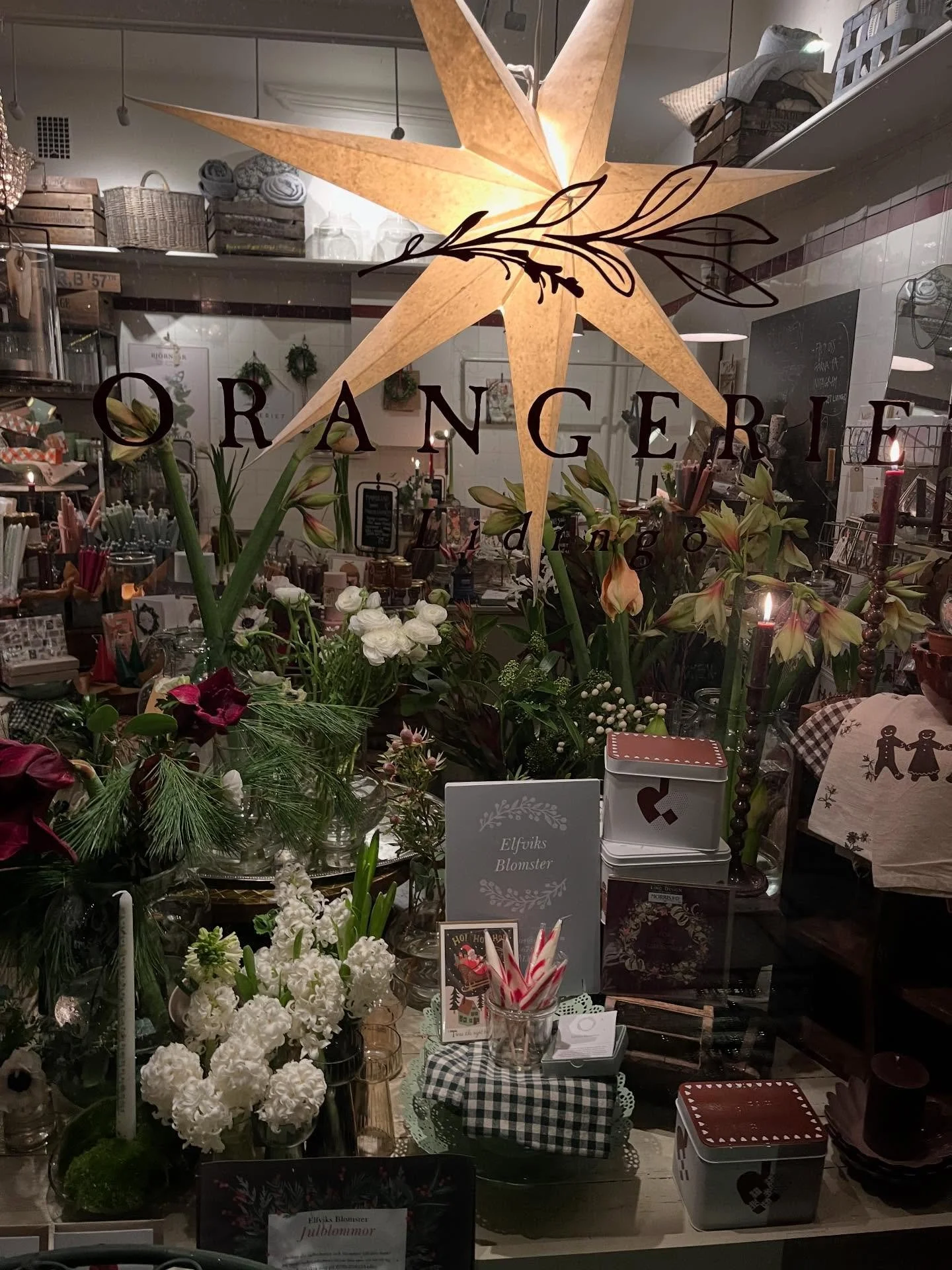 K&auml;ra Kunder! 🤎🤎 

Varmt v&auml;lkomna f&ouml;rbi oss i helgen❣️Det &auml;r julmys i Orangeriet med alla vackra julblommor och fina saker att pynta med eller ge bort i present. 🤶🌺 Vi har &ouml;ppet idag kl. 12-18 och l&ouml;rdag kl. 11-16. Ho