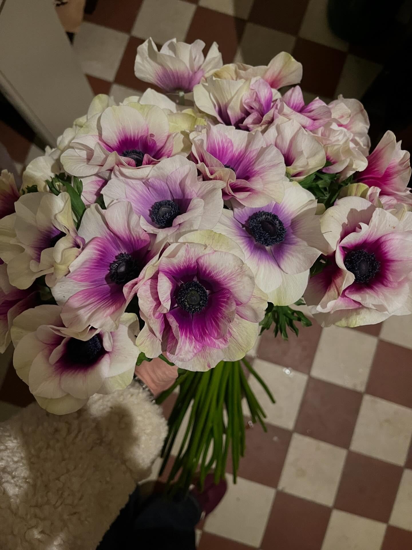 K&auml;ra Kunder! 💙💜 

Denna veckan har vi st&auml;ngt f&ouml;r sportlov och &ouml;ppnar &aring;ter den 6/3. Varmt v&auml;lkomna. Vi &ouml;nskar er alla en fin helg! 

Kram Kajsa &amp; Sara 💙💜💙