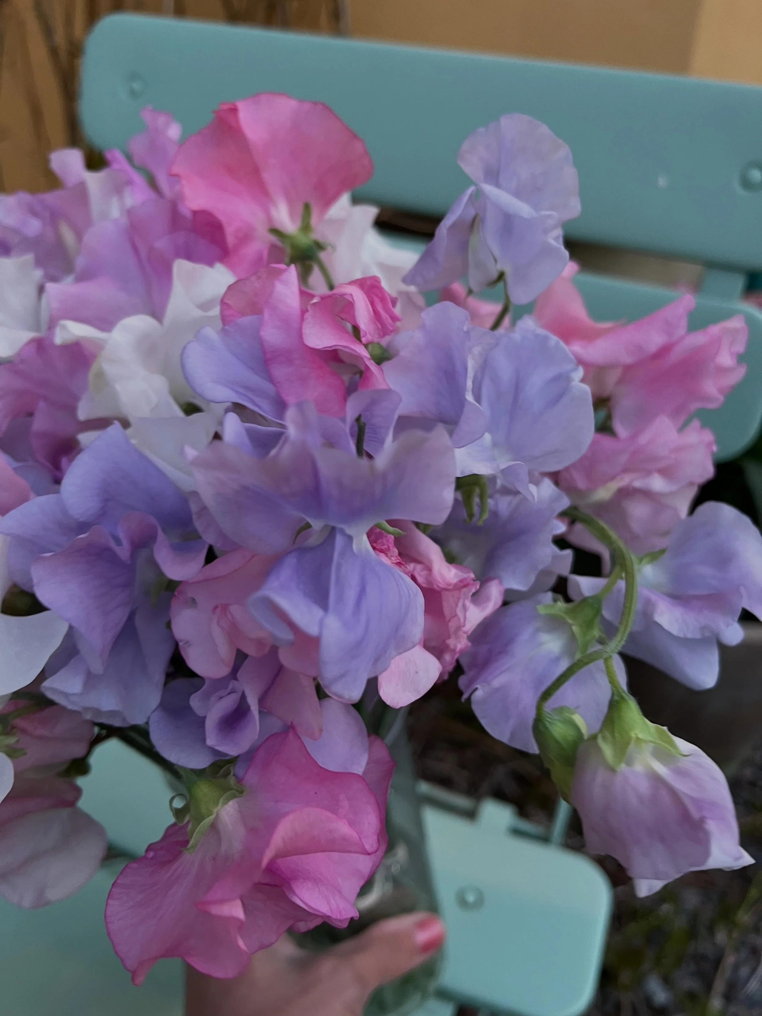 K&auml;ra Kunder! 💜

Vi har tyv&auml;rr st&auml;ngt i helgen fredag och l&ouml;rdag. &Ouml;ppet som vanligt n&auml;sta vecka. &Ouml;nskar er alla en fin helg! 

// Kajsa &amp; Sara 💜🌸💜