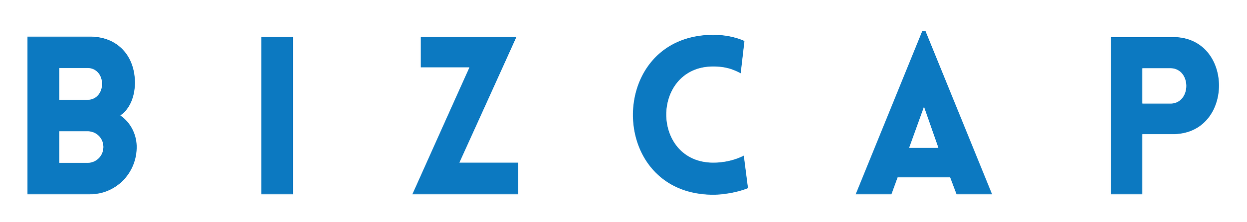 Bizcap.png