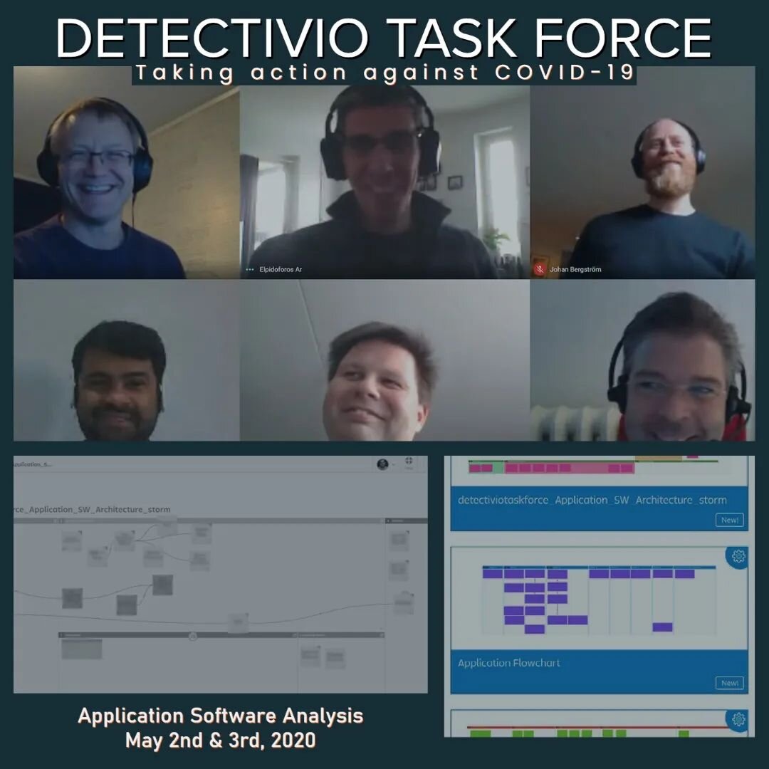 Detectivio Task Force - Application SW Analysis