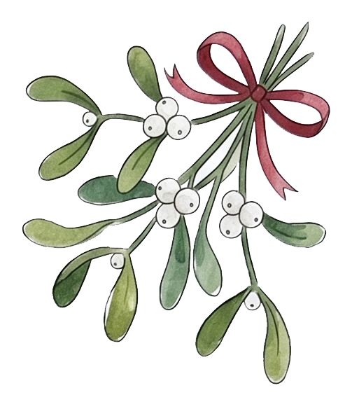 Illustration of mistletoe with green leaves, white berries, and a pink ribbon tied in a bow.