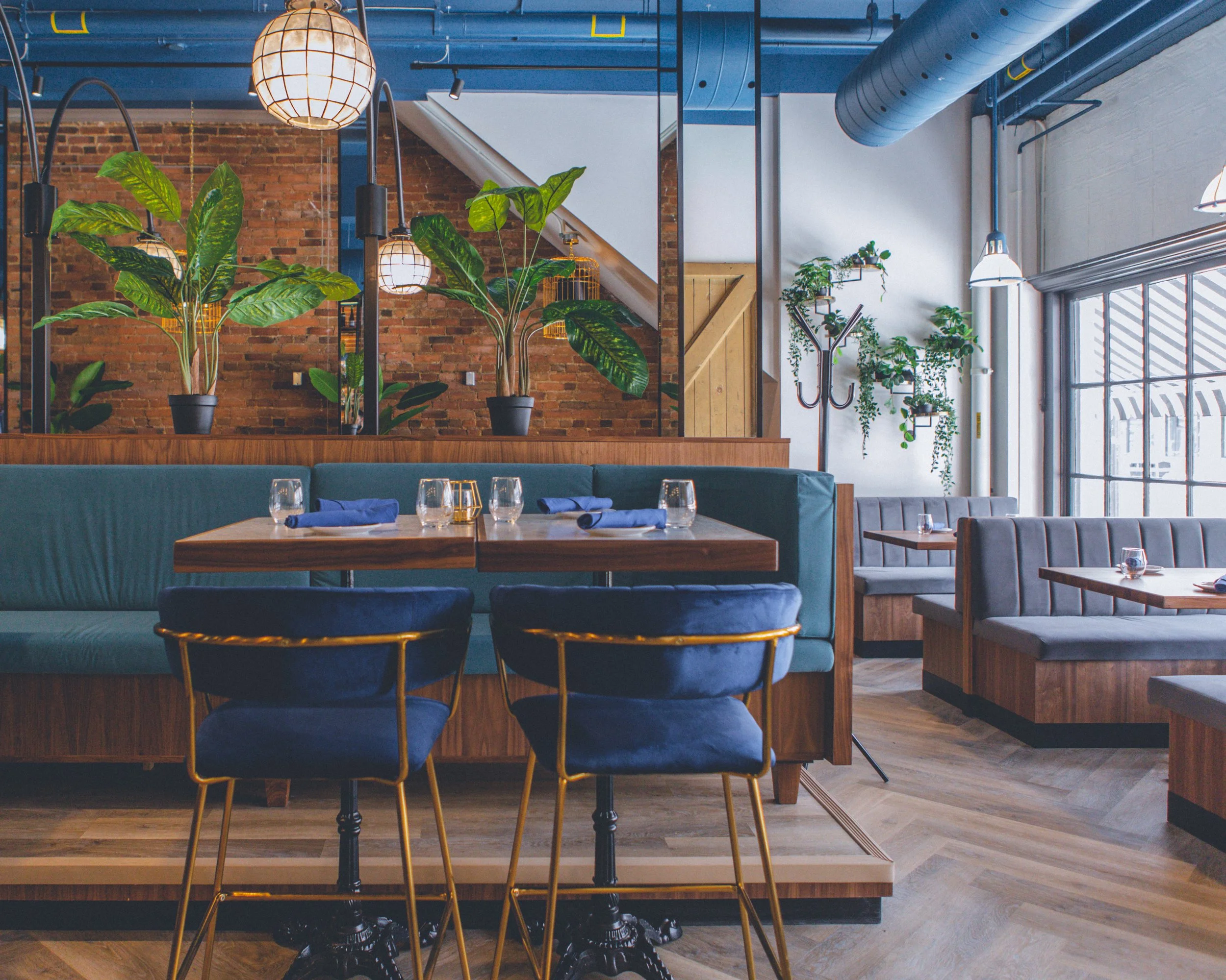 Interior of a modern restaurant or cafe with wooden tables, blue upholstered chairs, large potted plants, industrial-style ceiling pipes, hanging lamps, and sunlight coming through large windows.