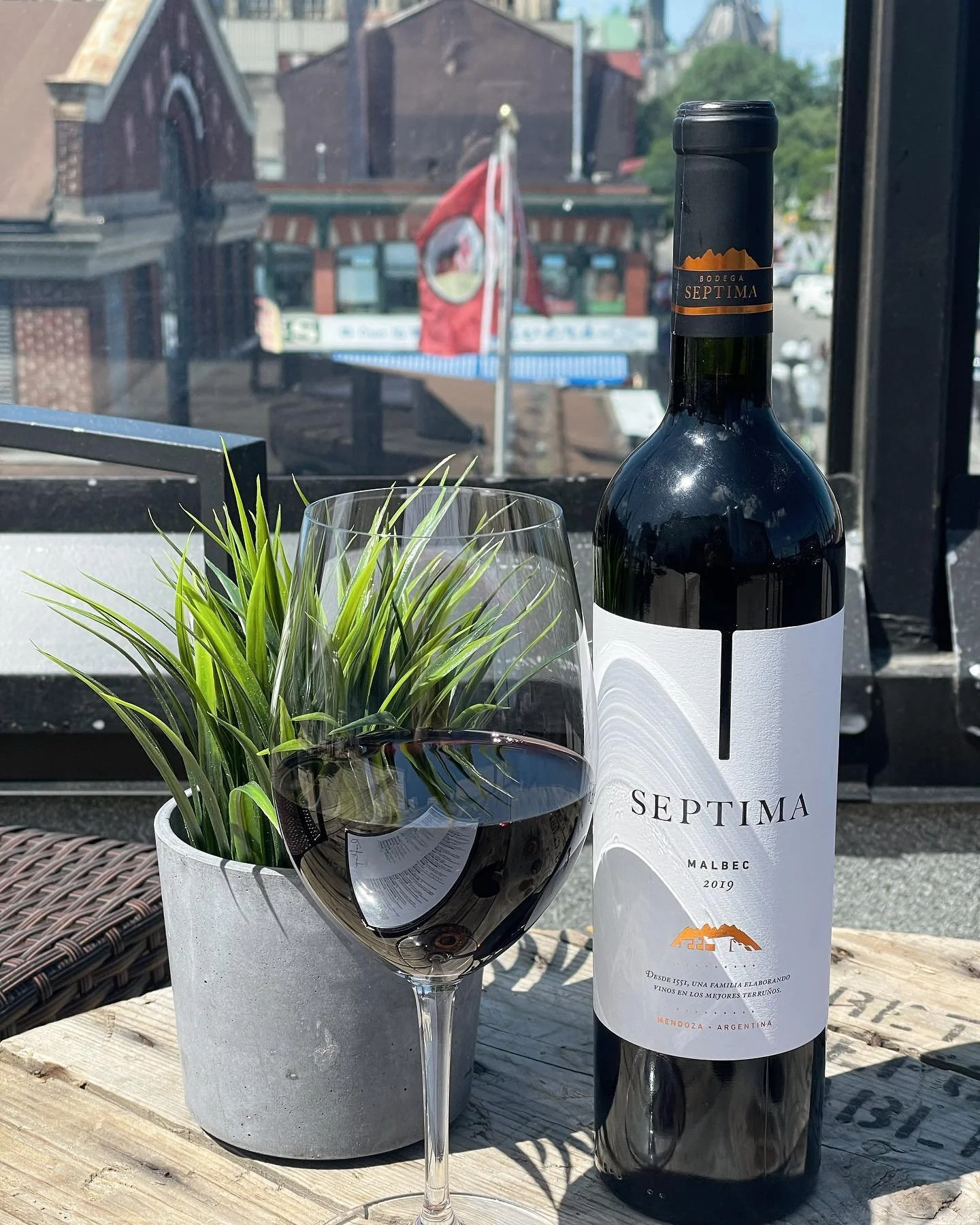 A bottle wine, a glass filled with red wine, and a small potted green plant on a wooden table with a window view of buildings and trees outside. rooftop views, coper sights, byword market rooftop 