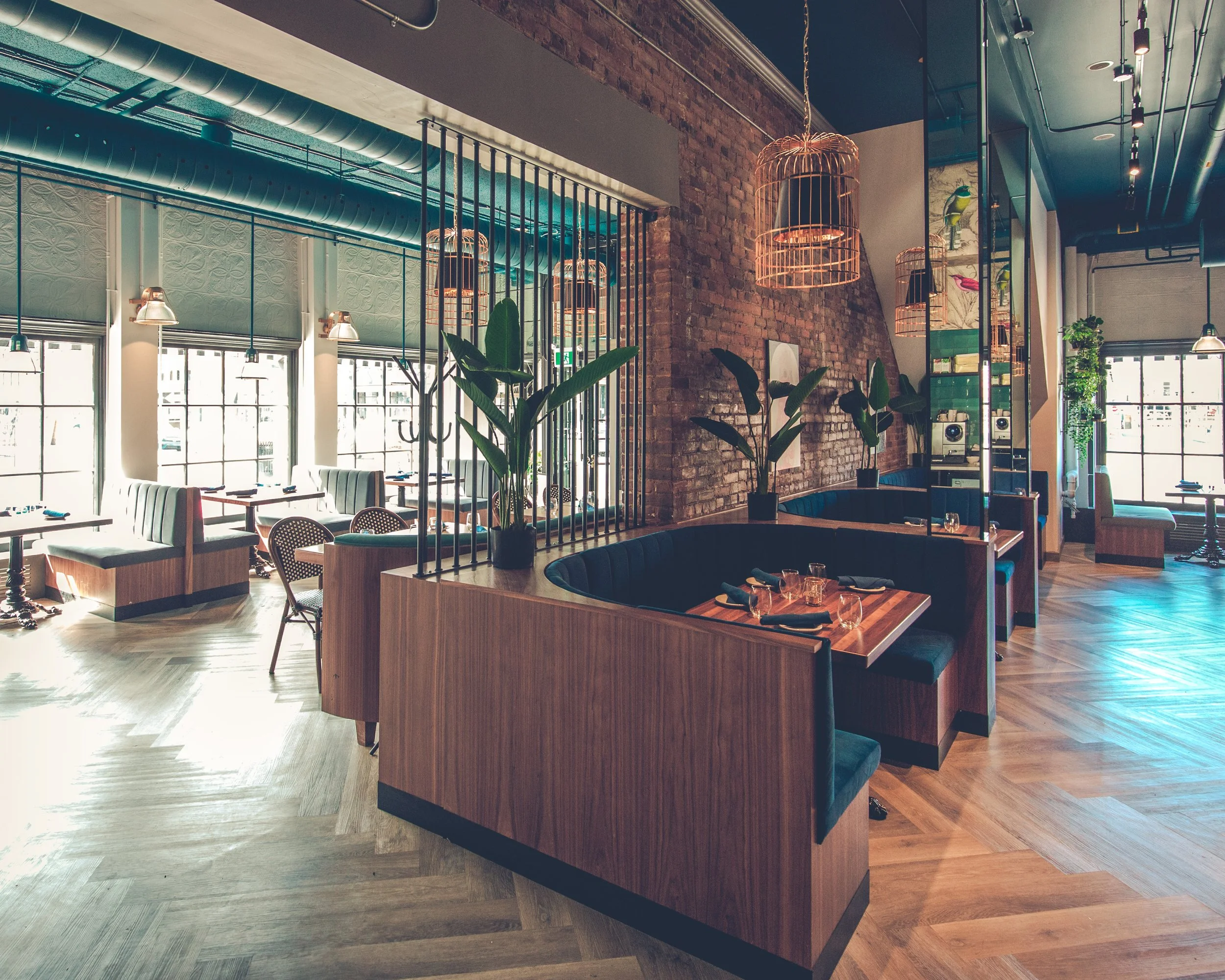 Interior of a modern restaurant with exposed brick walls, large windows, hanging bird cage pendant lights, and potted plants. An original venue that tells a story, within a heritage building mixing timelessness with modern flair. 