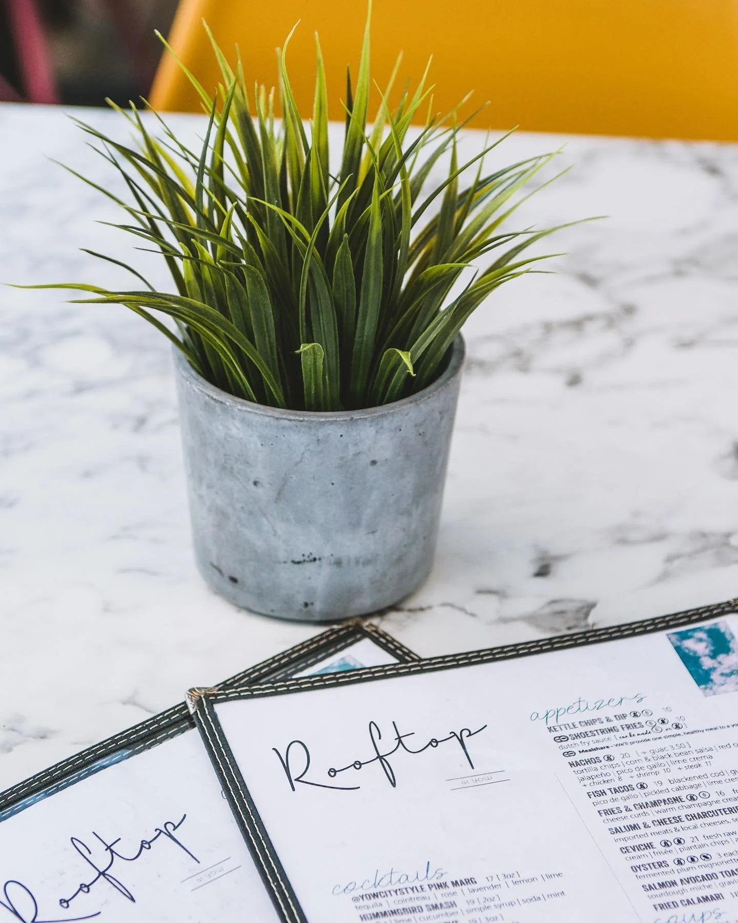 A potted plant with green, spiky leaves on a white marble table, with a partially visible menu underneath.