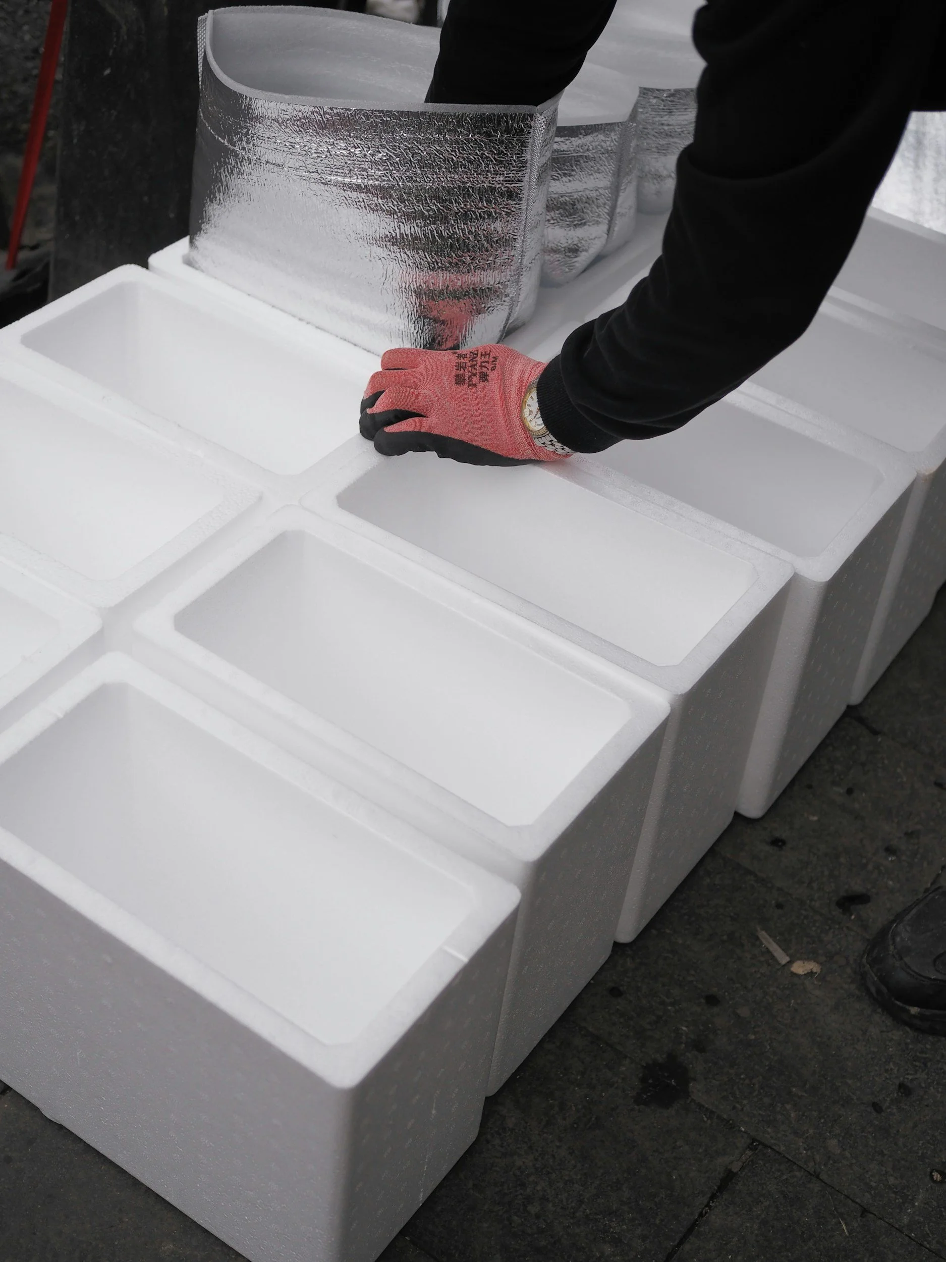 Cold Shipping: The Complete Guide to Cold Chain Logistics