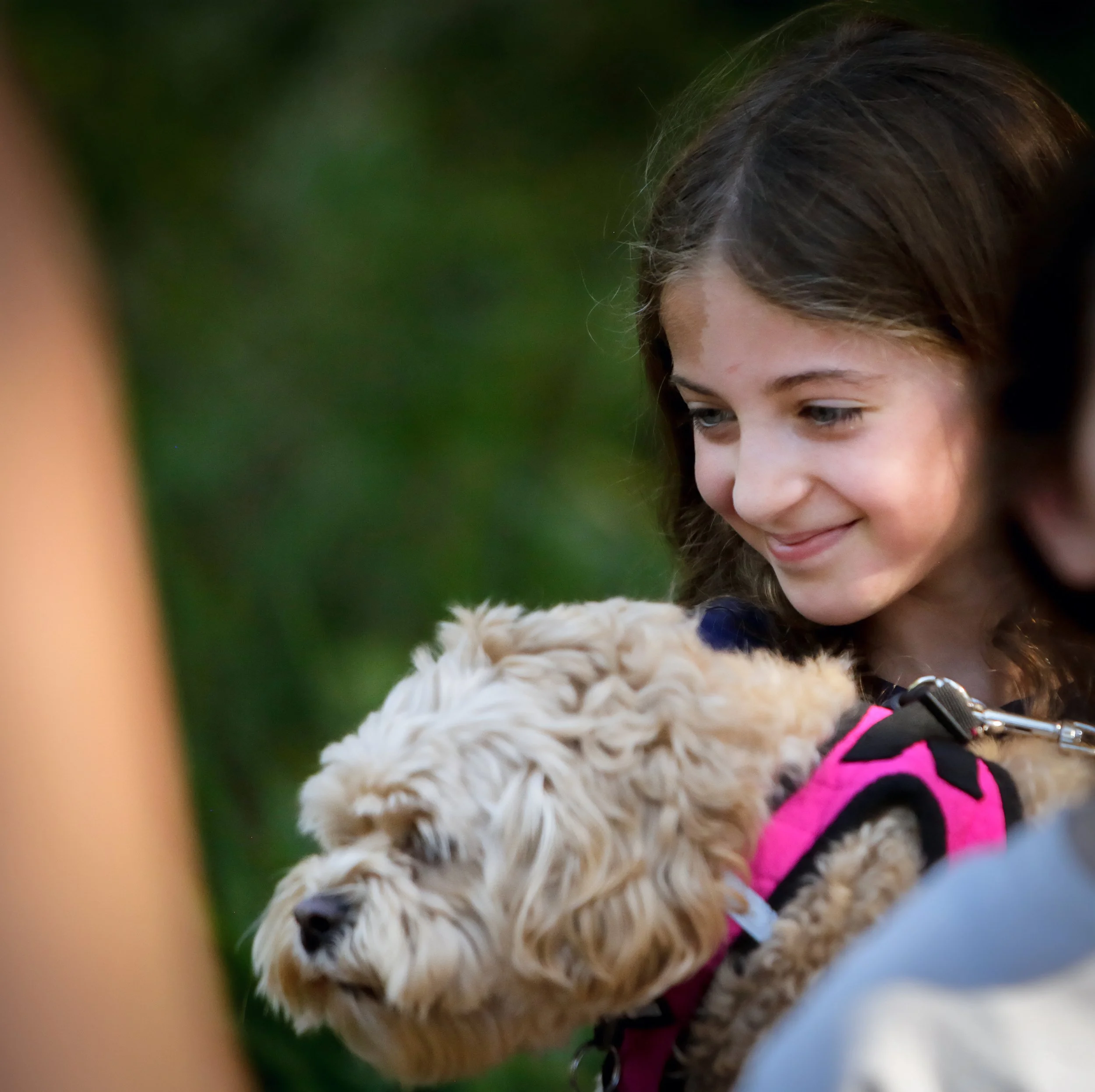 als-walk25-138.jpg