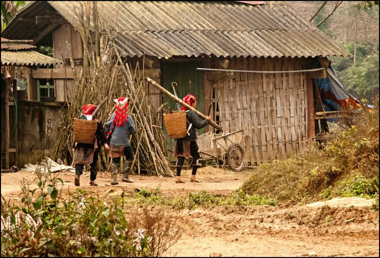 VN087.jpg