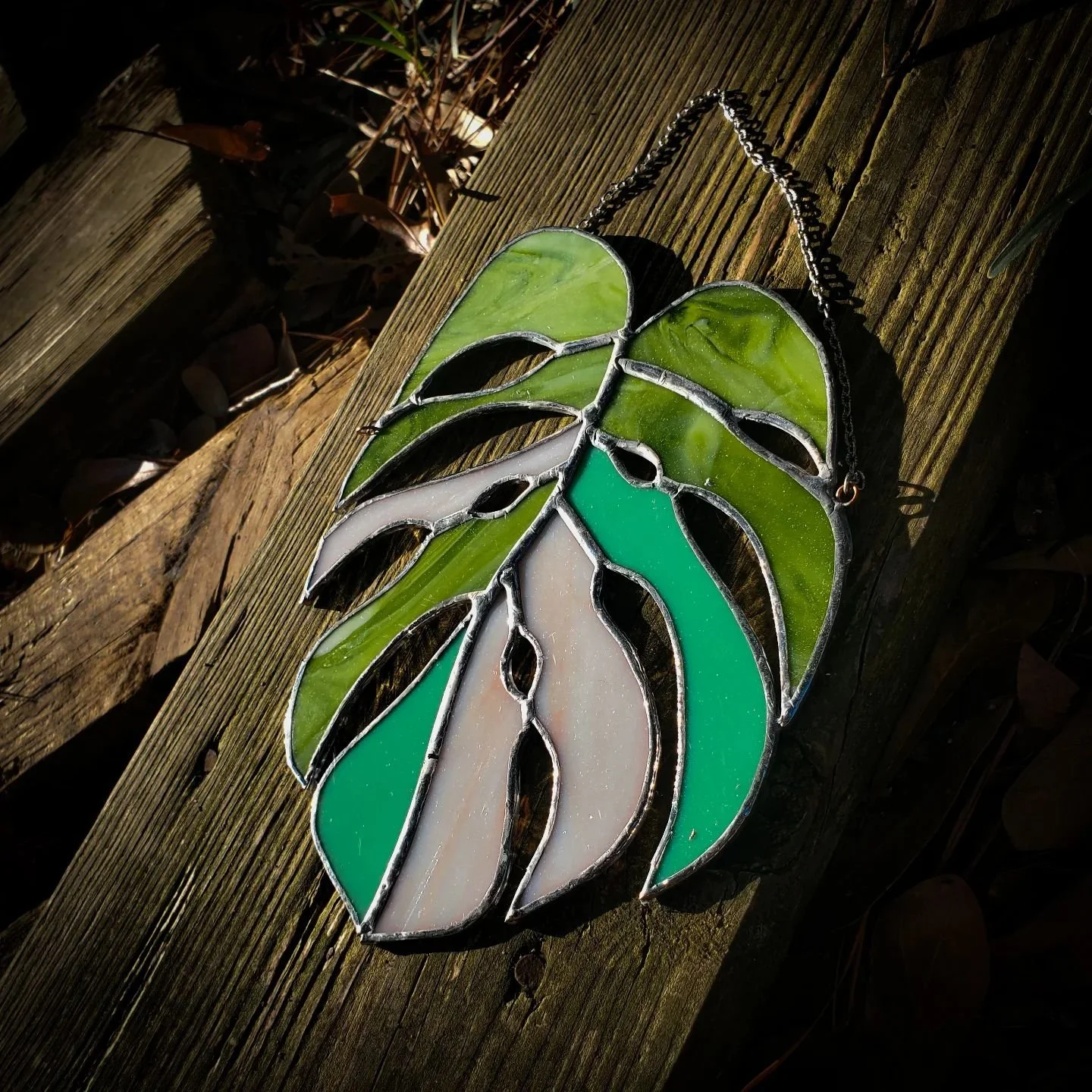 A little shiny leaf for your Friday!