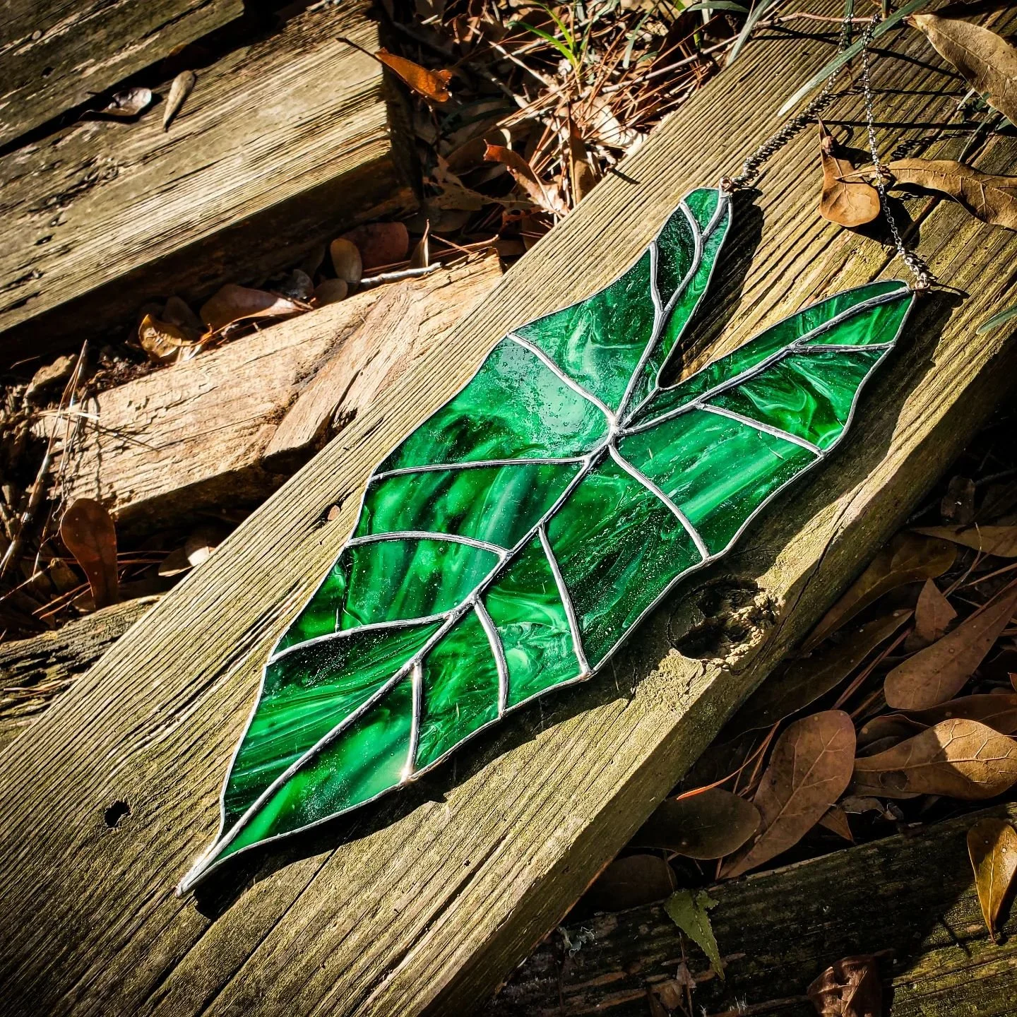 Alocasia stained glass leaf
The jade green coloring of this glass is really stunning especially in the light.