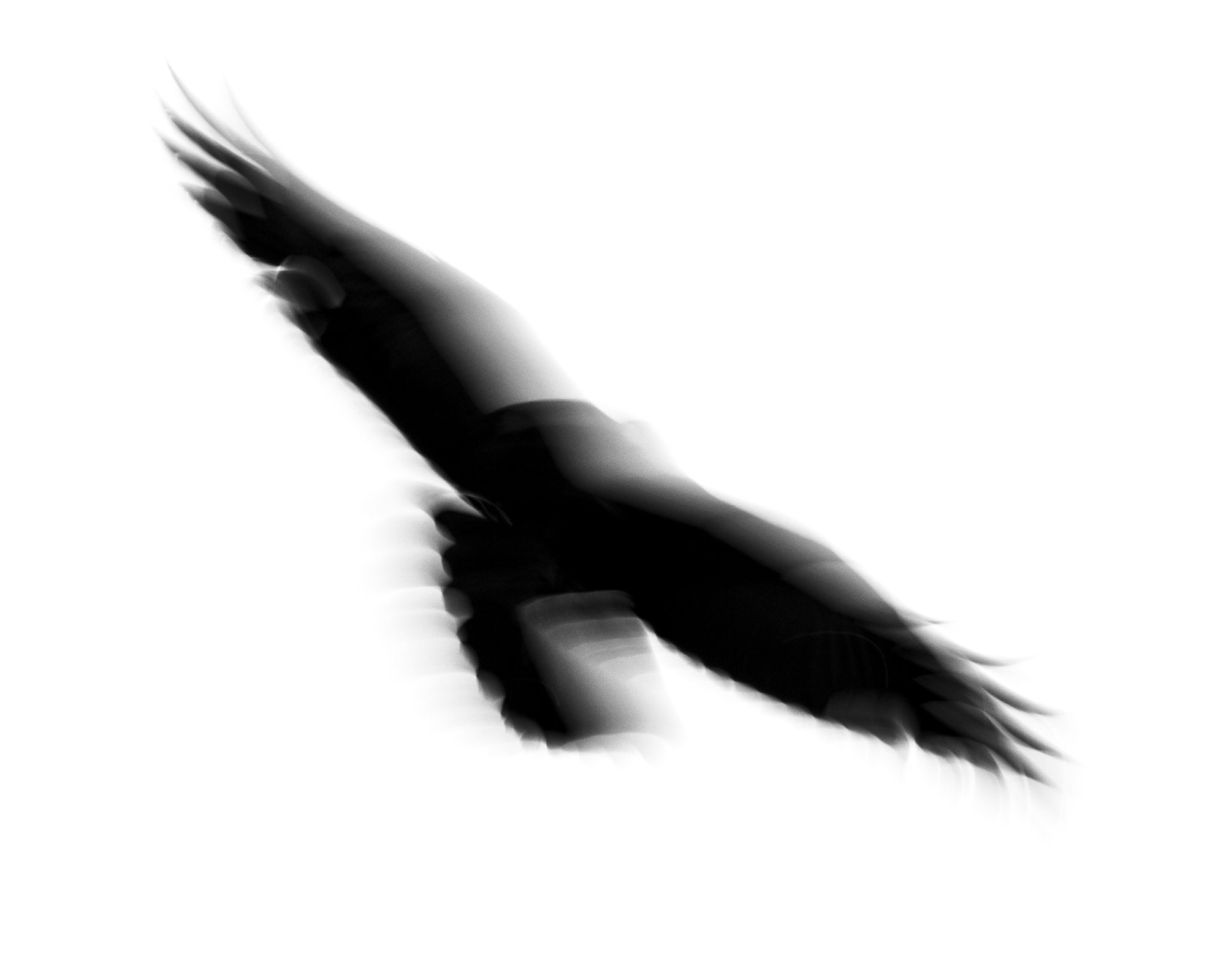 Raven (David Cook)